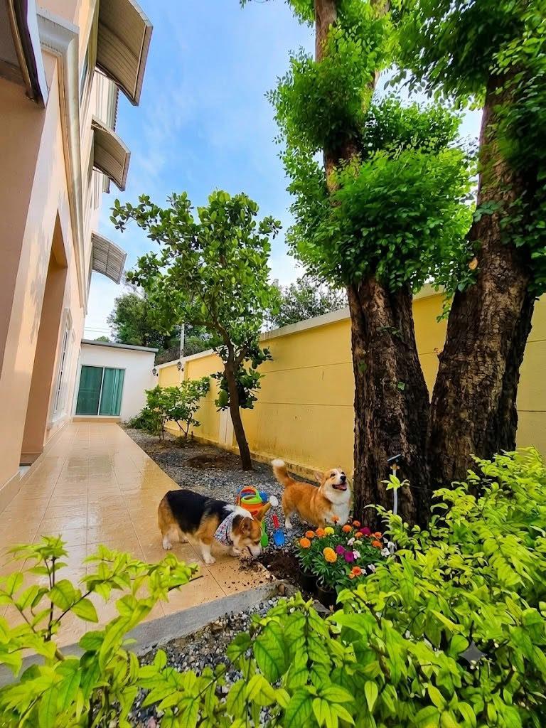 ให้เช่า Townhome หลังมุม 5นอน มีสวนในตัว URBAN SATHORN สาทร ราชพฤกษ์   – รูปที่ 2