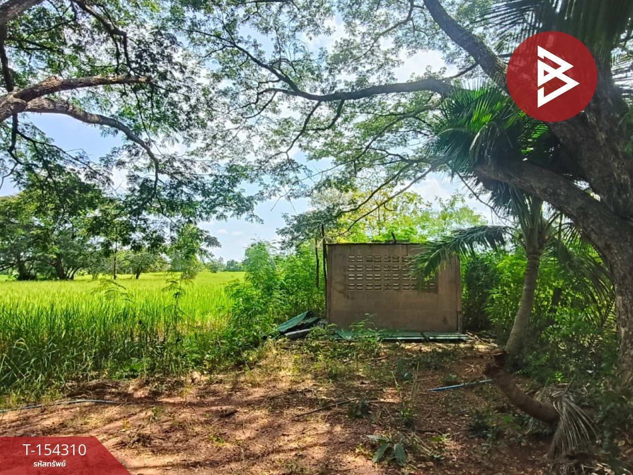 ขายที่ดิน เนื้อที่ 4 ไร่ 1 งาน 10 ตร.วา บ้านทุ่ม ขอนแก่น – รูปที่ 4