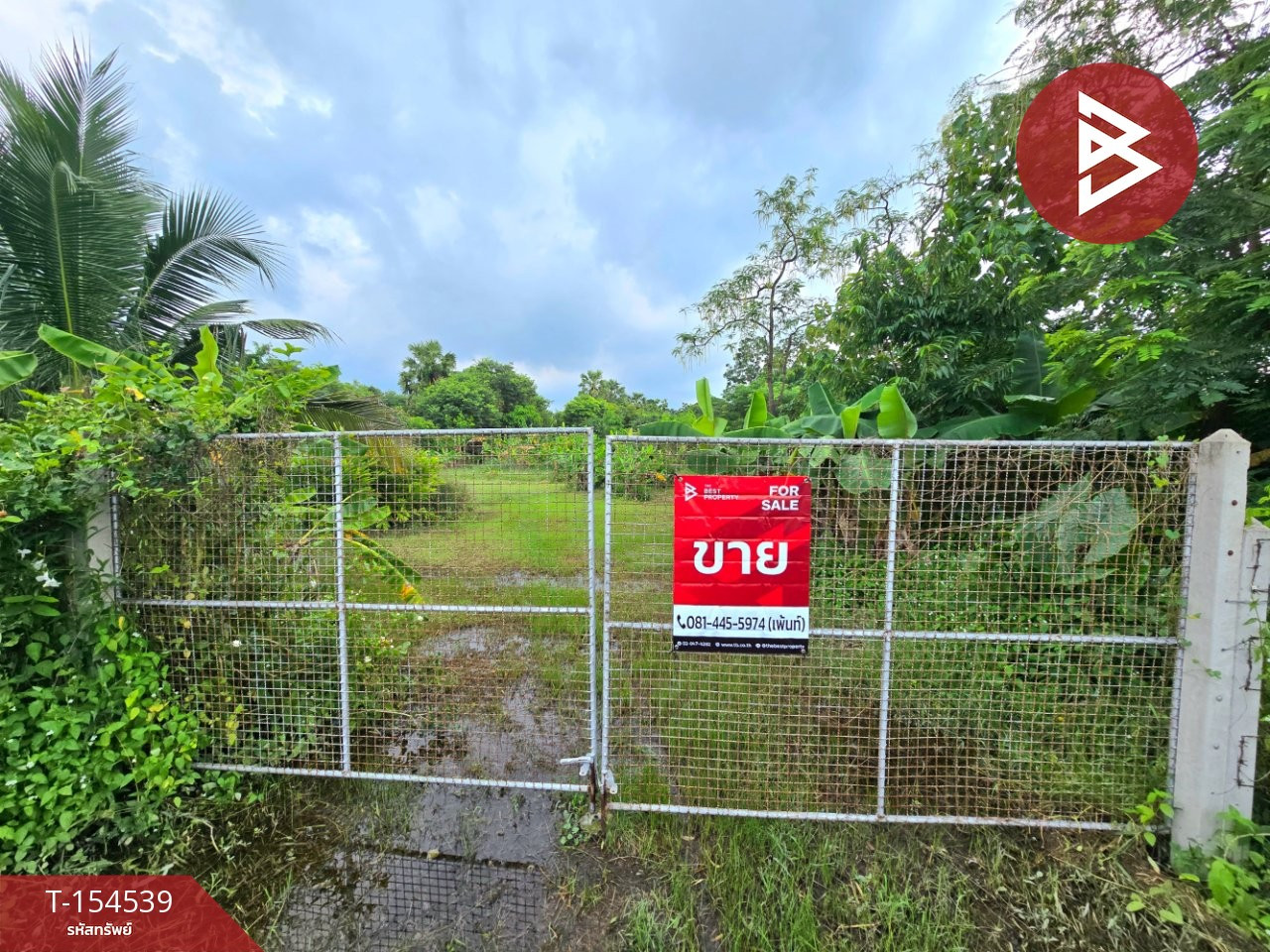 Urgent sale of land, area 2 rai 2 ngan 88.4 square wah, Thamsen Subdistrict, Photharam District, Ratchayuri Province. – รูปที่ 4