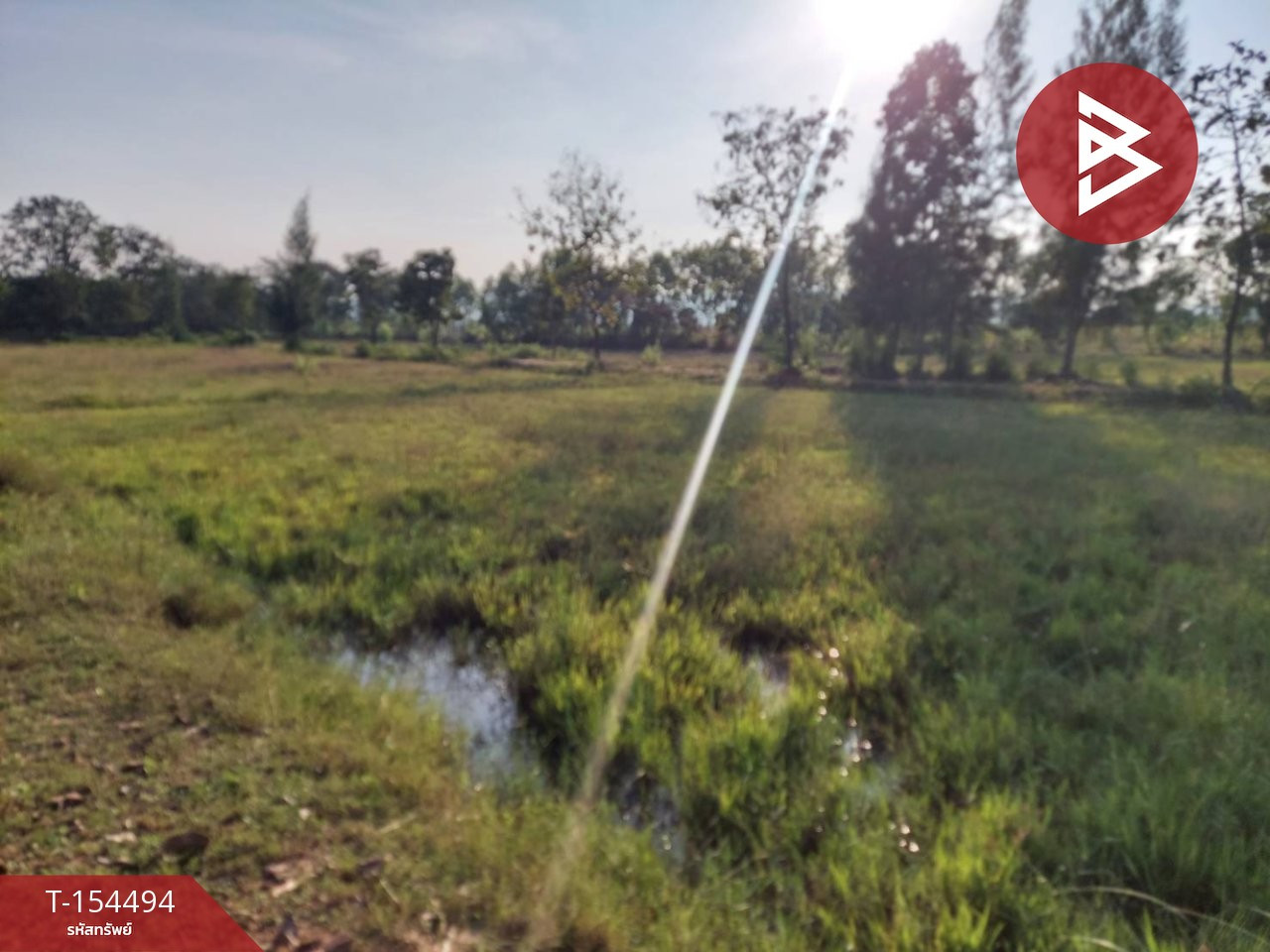 Empty land for sale, 16 rai 2 ngan 39.2 sq m, Ang Hin Subdistrict, Pak Tho District, Ratchaburi Province, next to a water canal. – รูปที่ 4