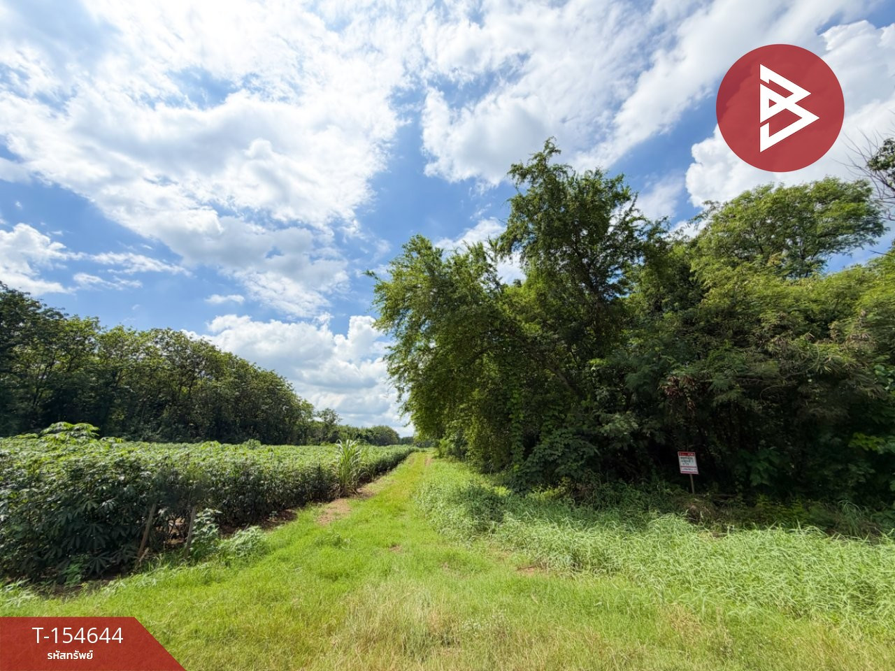 Land for sale, area 2 rai, Chai Badan, Lopburi