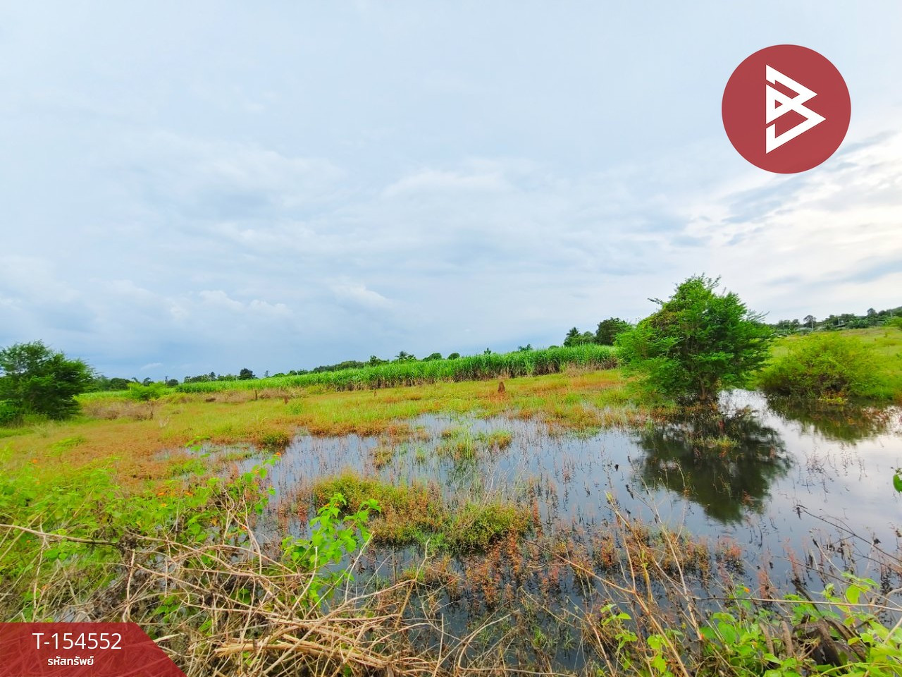 Land for sale, area 1 rai 1 ngan 3 square wah, Tha Muang, Kanchanaburi. – รูปที่ 2