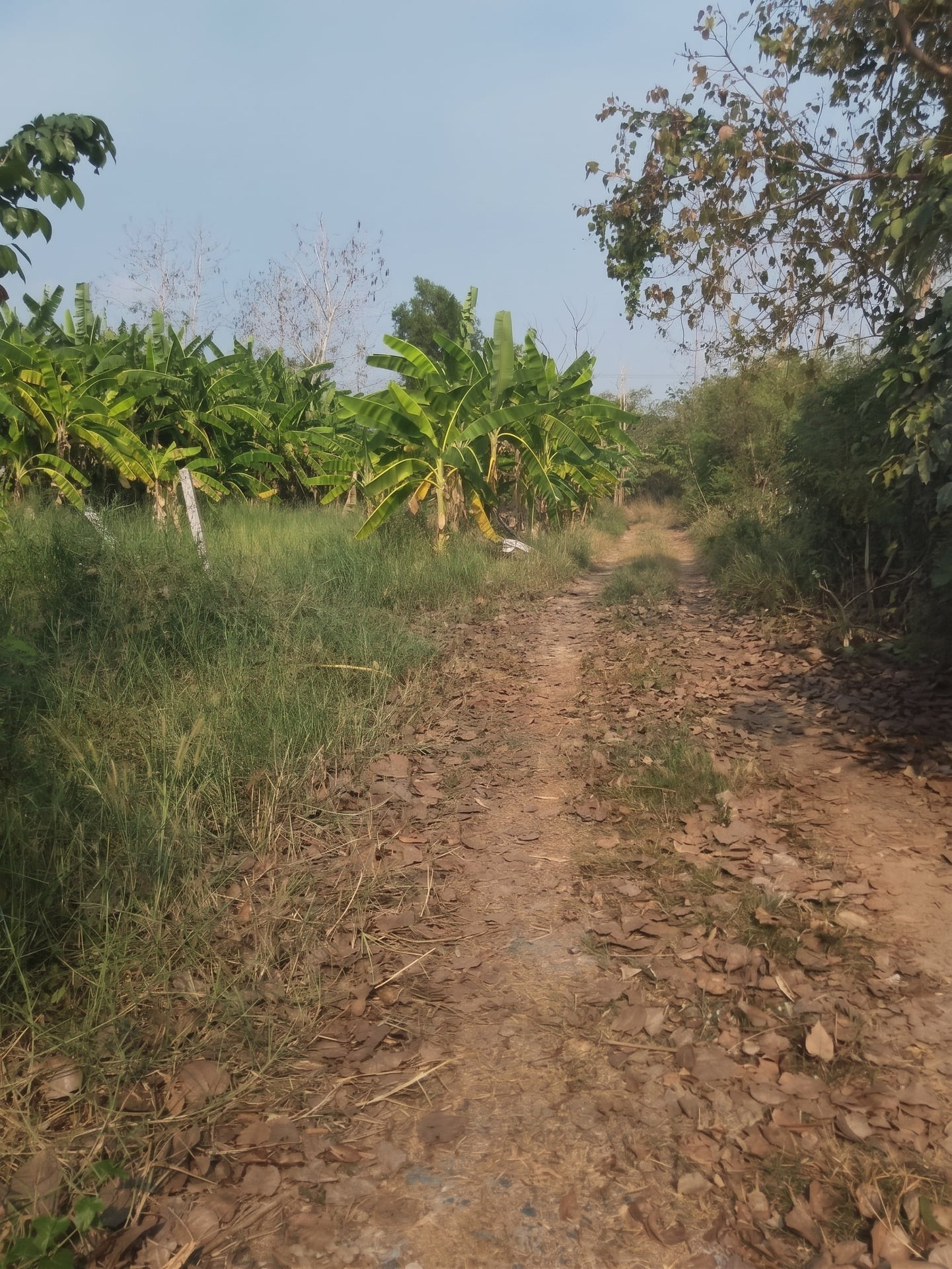 Land for sale in Nong Chok, area 2 rai 0 ngan 01 sq m., near Pracha Samran Police Station.