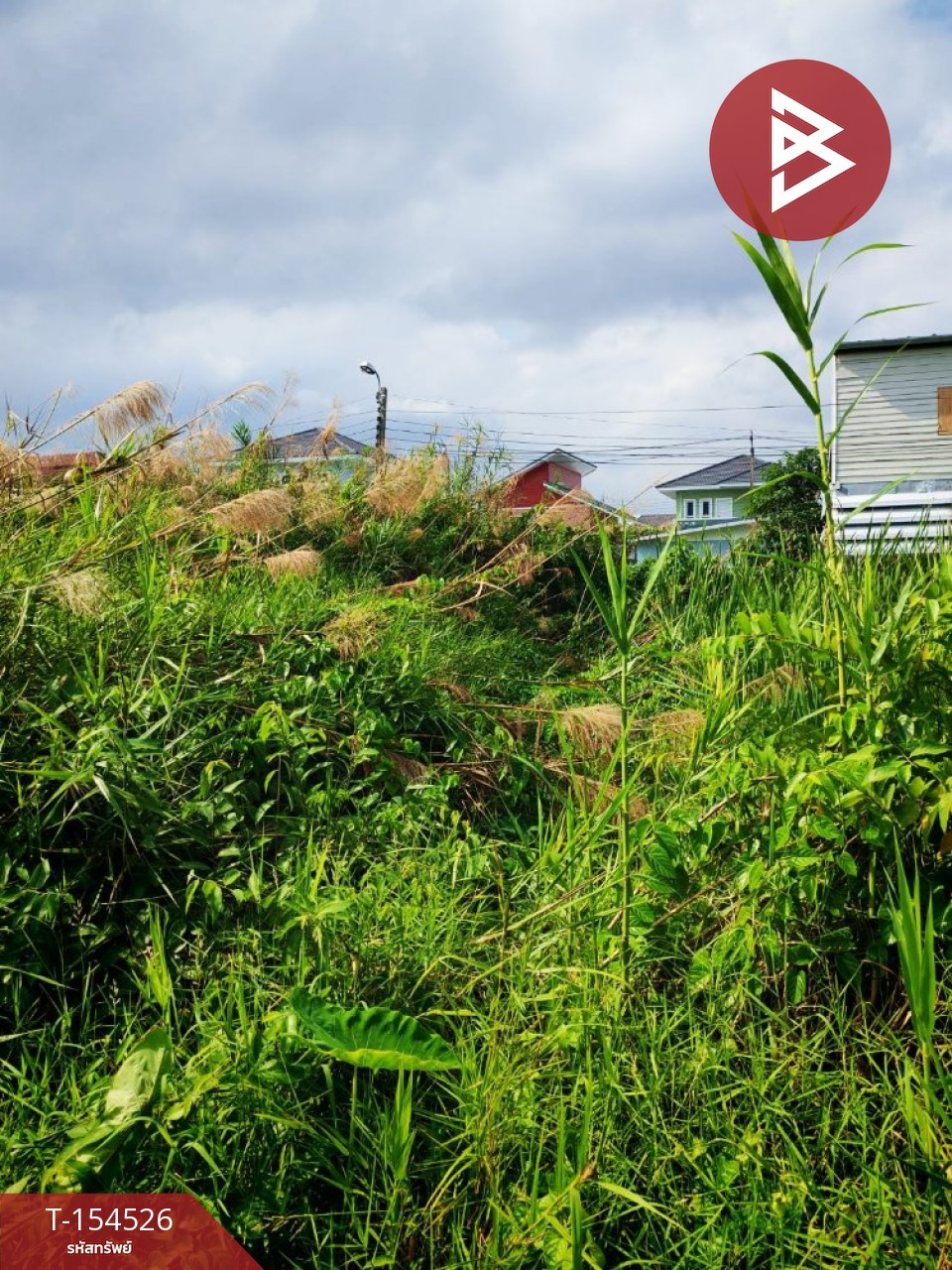 ขายที่ดิน เนื้อที่ 50 ตร.วา บางกร่าง นนทบุรี