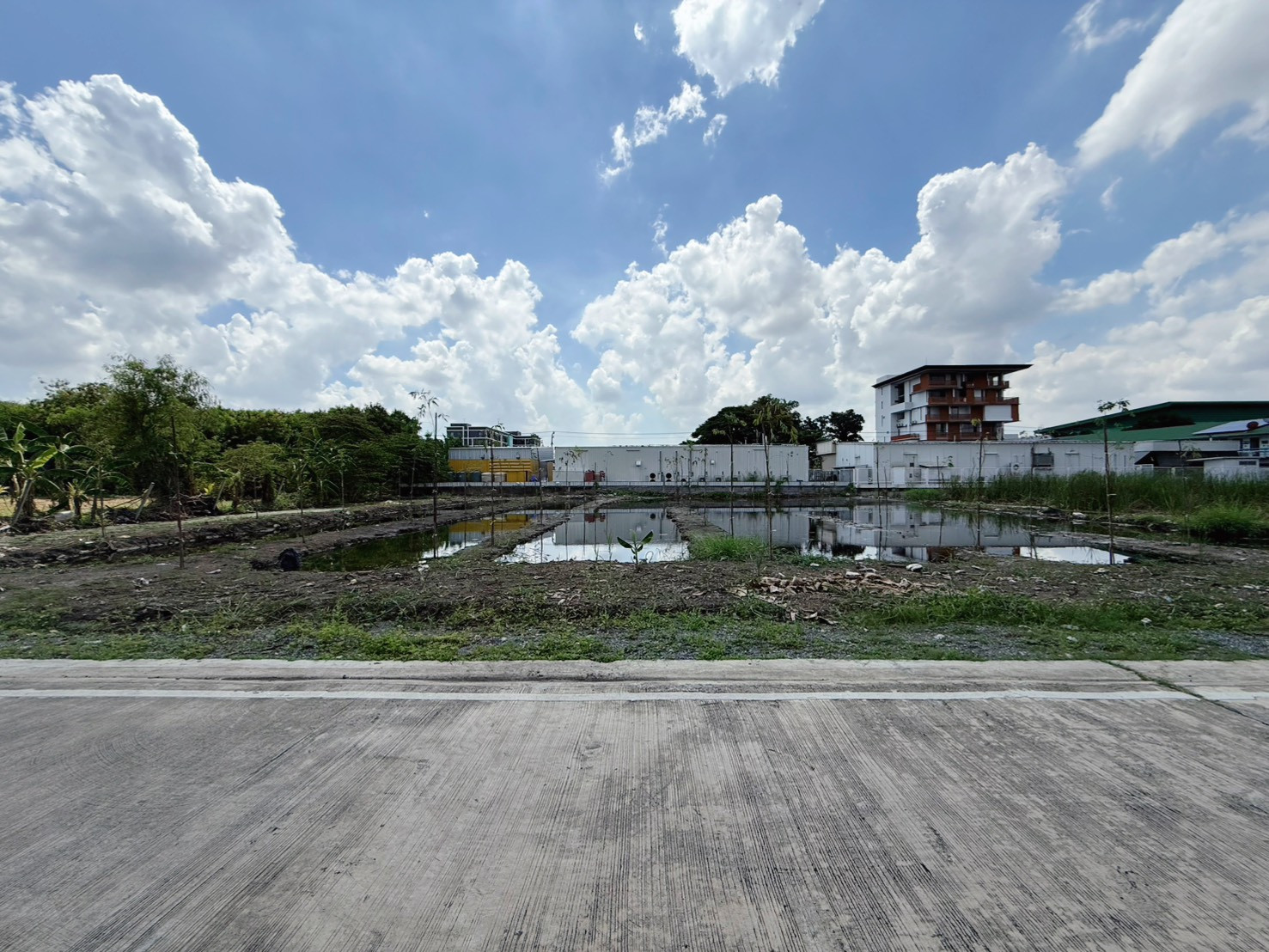 Empty land for sale, Soi Sridan 22, Srinakarin Road, near Makro Srinakarin, only 5 minutes, between the Yellow Line. Sri Lasalle Station and Sri Bearing Station are only about 5 minutes away. – รูปที่ 3