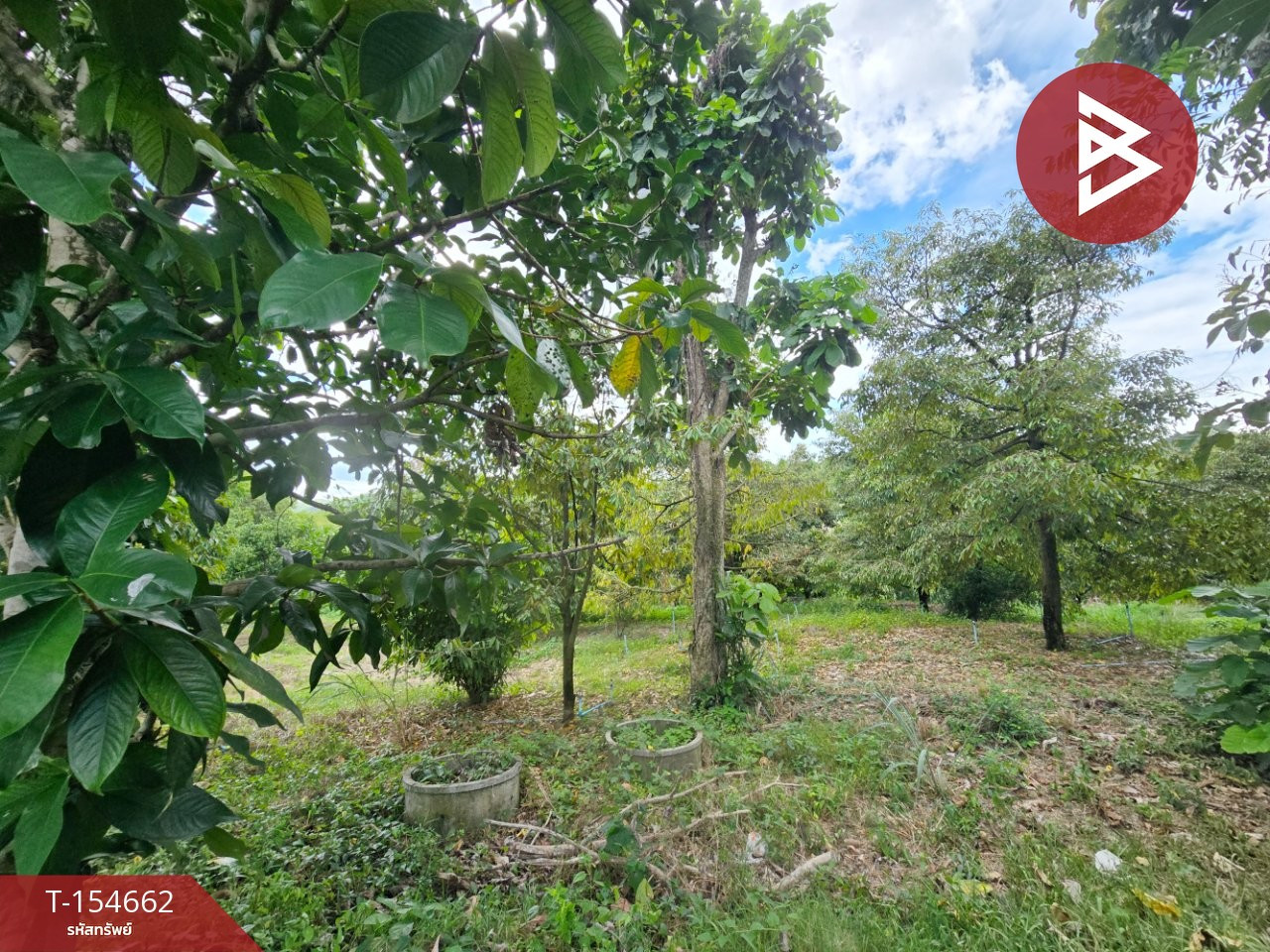 Land for sale with garden, area 6 rai 3 ngan 2 sq m, Nong Ya Plong, Phetchaburi. – รูปที่ 4