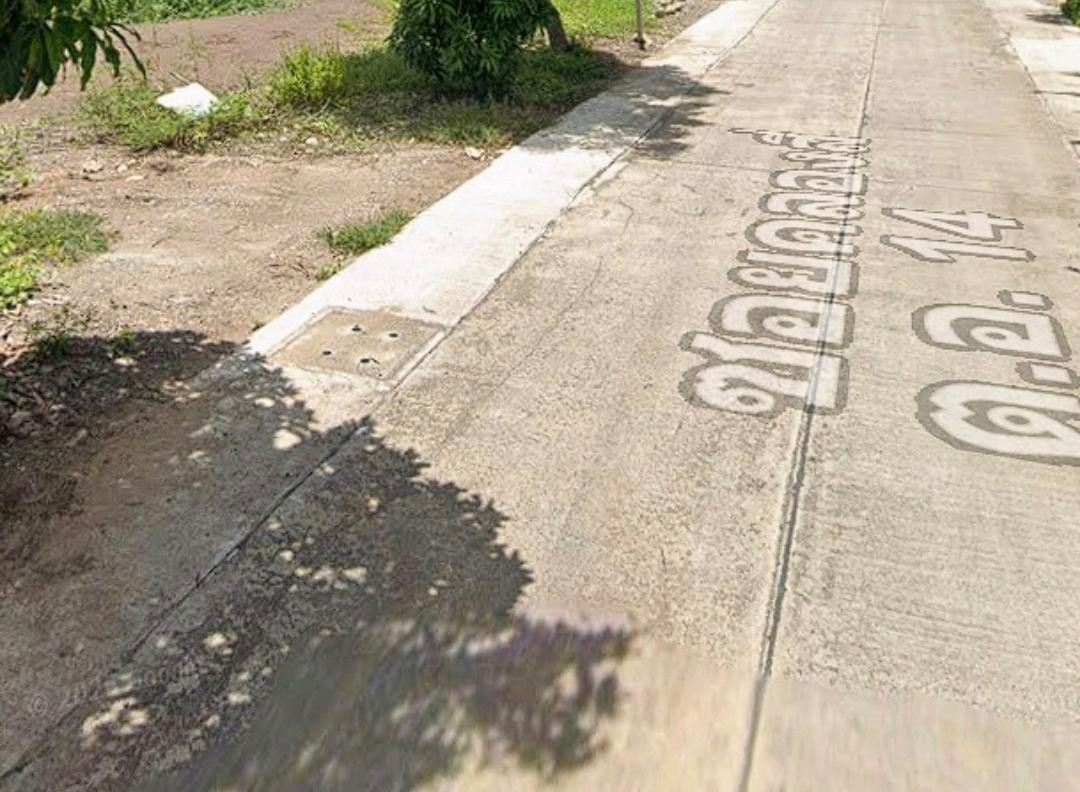 Land 50 sq m., allocated for sale, several plots (not flooded), pink layout (negotiable) – รูปที่ 4