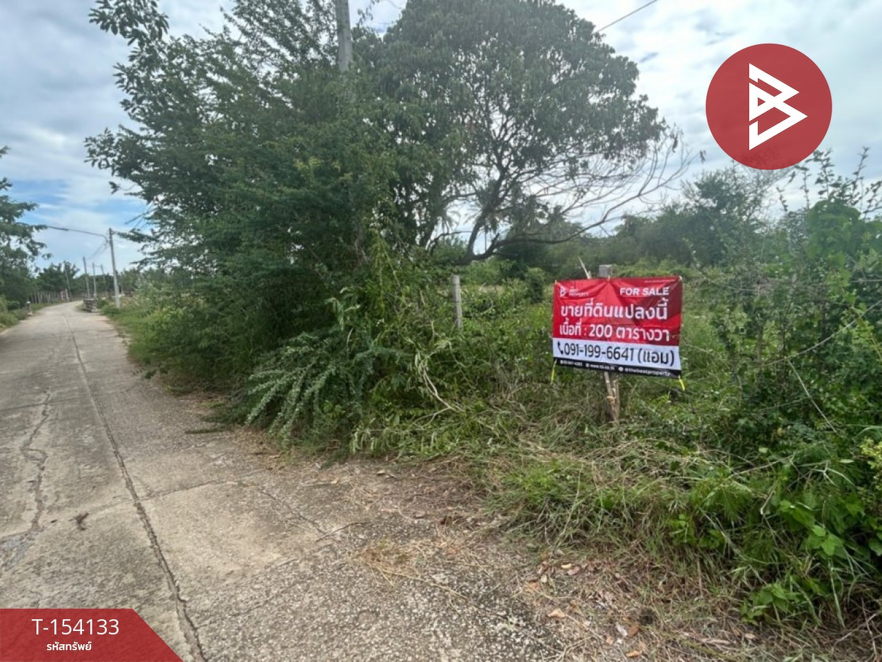 ขายที่ดิน เนื้อที่ 2 งาน โพธาราม ราชบุรี – รูปที่ 2