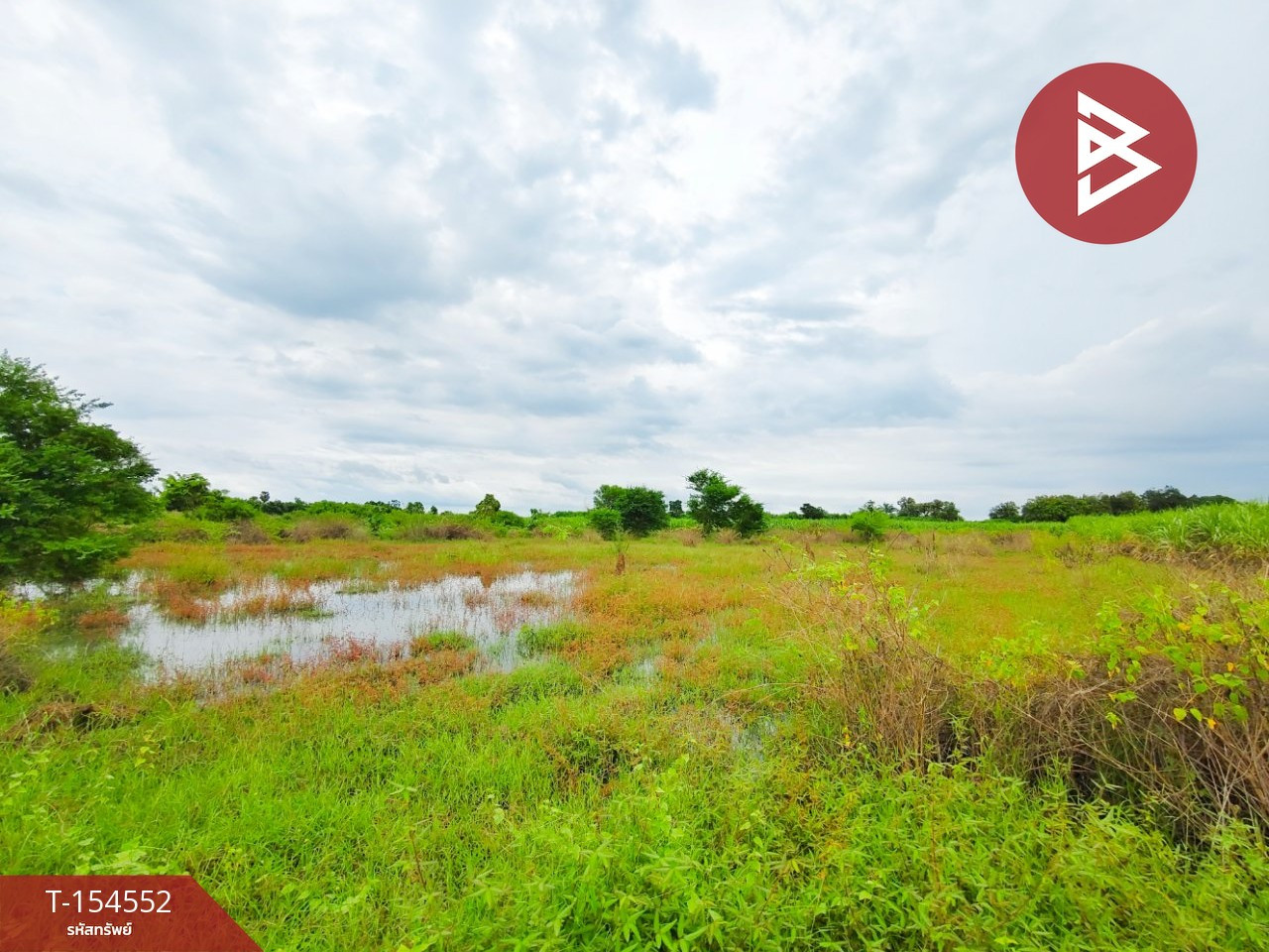 Land for sale, area 1 rai 1 ngan 3 square wah, Tha Muang, Kanchanaburi. – รูปที่ 4