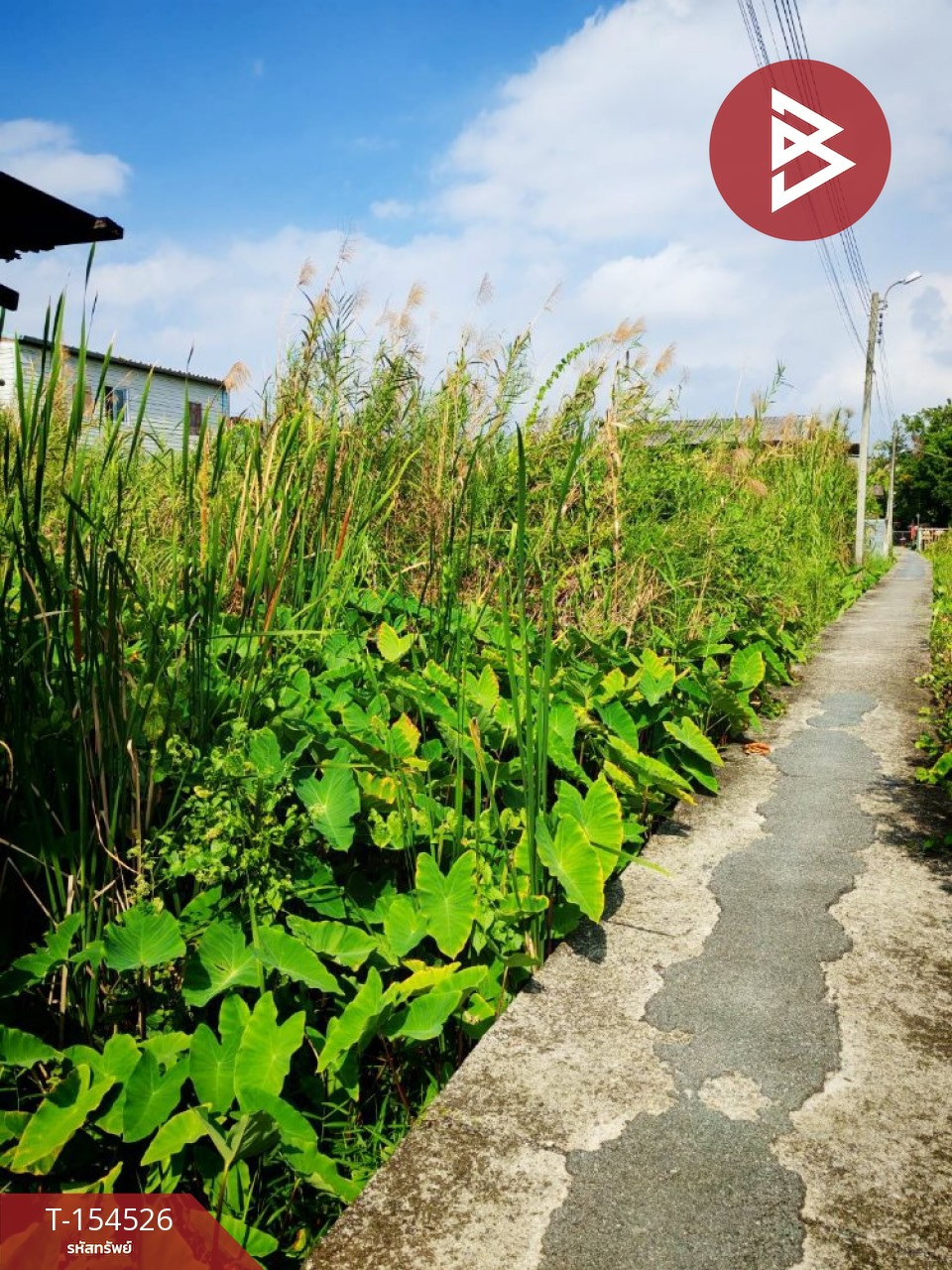 ขายที่ดิน เนื้อที่ 50 ตร.วา บางกร่าง นนทบุรี – รูปที่ 3