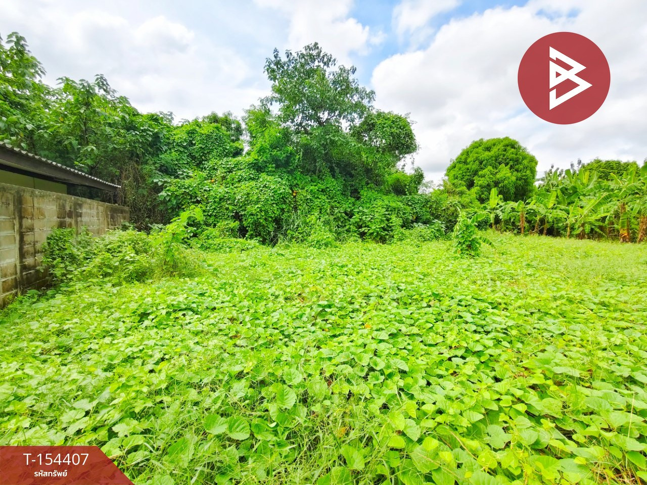ขายที่ดินเปล่า เนื้อที่ 68.7 ตร.วา ท่าม่วง กาญจนบุรี – รูปที่ 4
