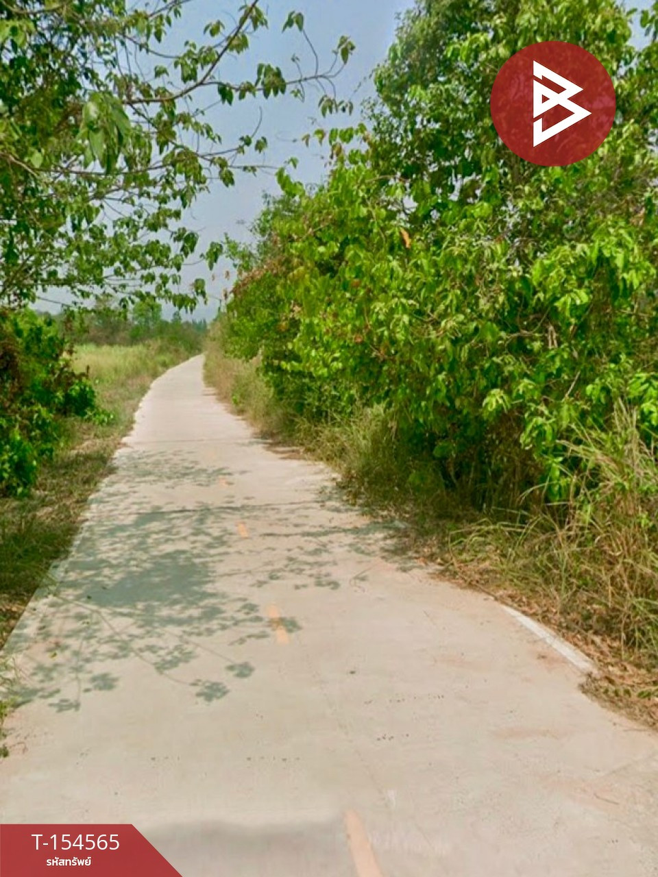 ขายที่ดินแปลงสวย เนื้อที่ 1 งาน 35 ตารางวา สวนผึ้ง ราชบุรี  – รูปที่ 3