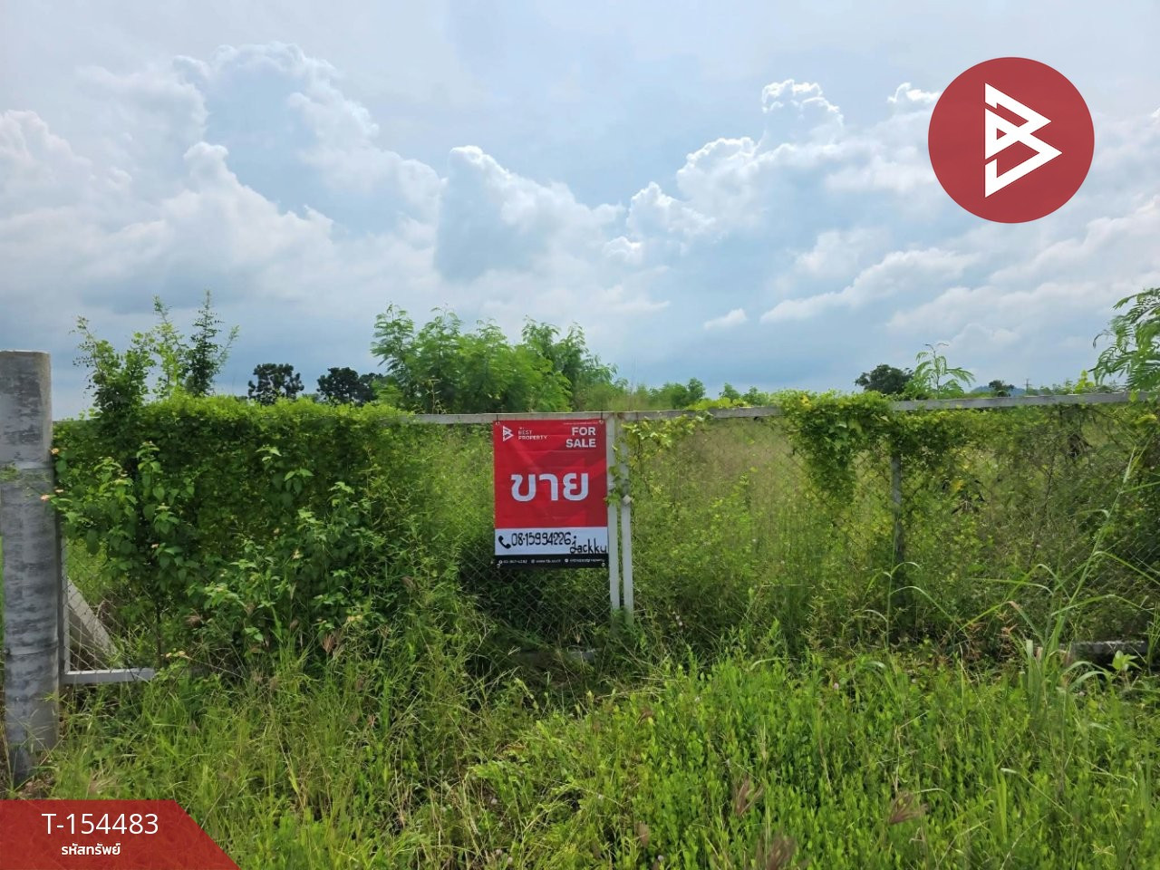 Land for sale, already filled in, area 1 rai 1 ngan 19.6 square wah, Don Tako, Ratchaburi.