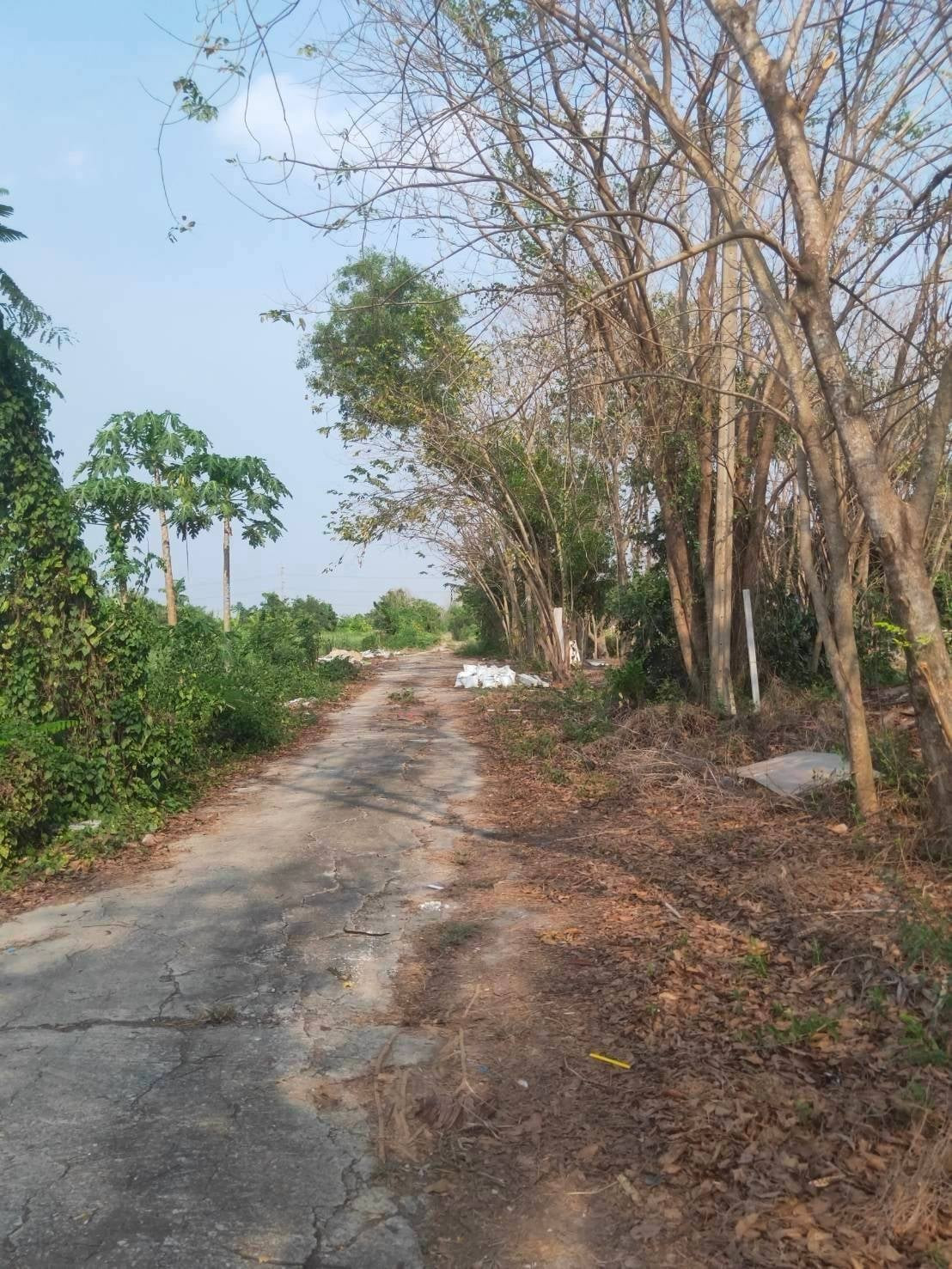 Land for sale in Nong Chok, area 2 rai 0 ngan 01 sq m., near Pracha Samran Police Station. – รูปที่ 4