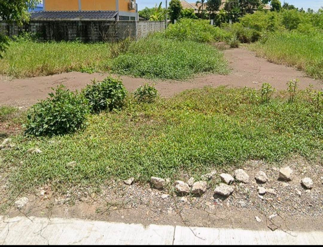 Land 50 sq m., allocated for sale, several plots (not flooded), pink layout (negotiable) – รูปที่ 3