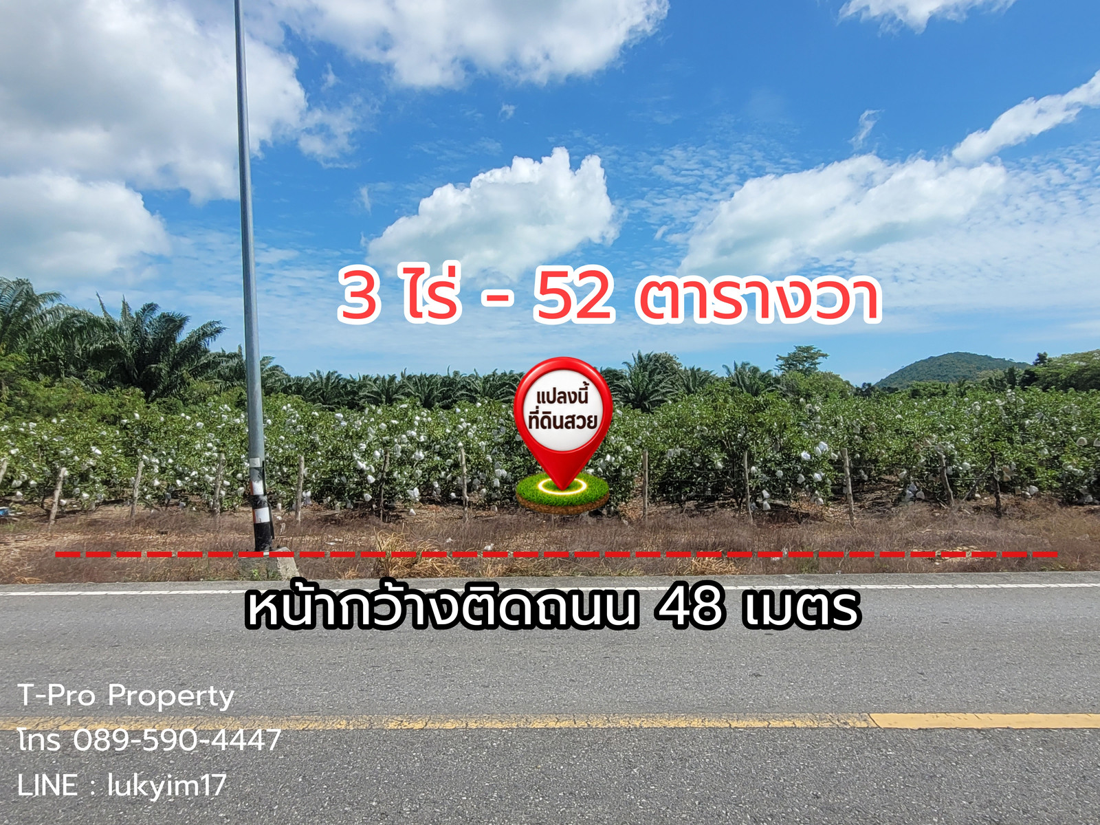 ที่ดินเปล่า หน้ากว้างสวยคิดถนนบางแพง-น้ำโฉ 48 เมตร ต.ท้องเนียน อ.ขนอม จ.นครศรีฯ