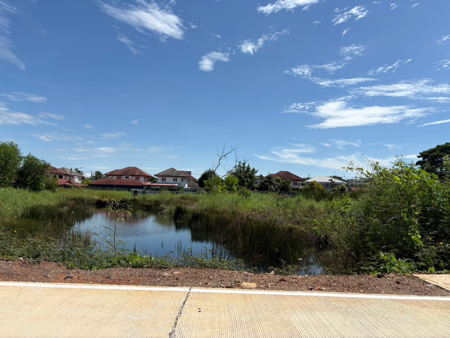 🔥The sells it himself, selling 2 rai of land | Rangsit-Nakhon Nayok, Khlong 4 🔥 📍 Good location, convenient travel, suitable for investment/ if interested, ask for more information, call 087-499-6664 🔥The sells it himself, selling 2 rai of land | Rangsit-Nakhon Nayok, Khlong 4 🔥 📍 Good location, convenient travel, suitable for investment/ if interested, ask for more information, call 087-499-6664