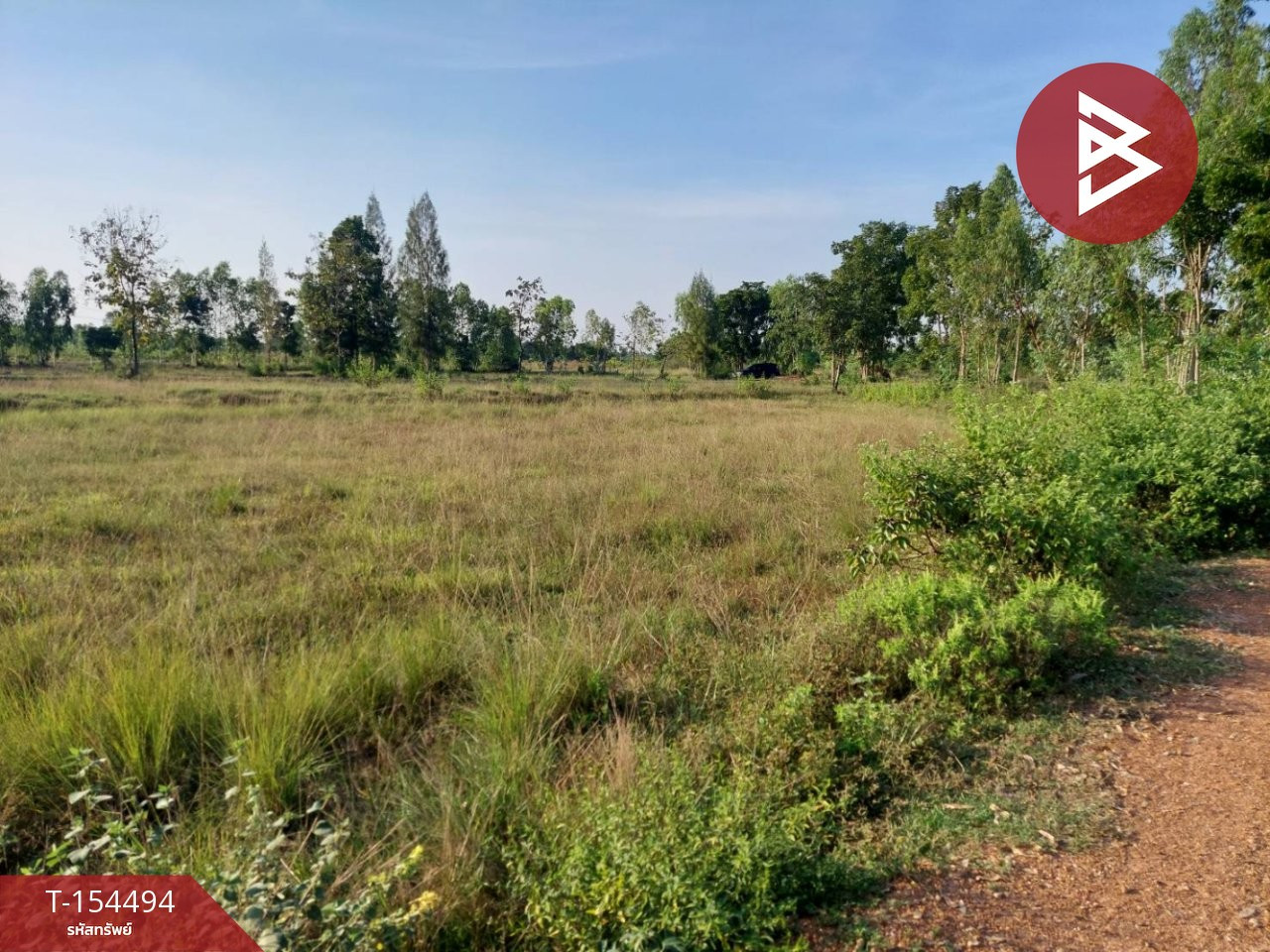Empty land for sale, 16 rai 2 ngan 39.2 sq m, Ang Hin Subdistrict, Pak Tho District, Ratchaburi Province, next to a water canal. – รูปที่ 3