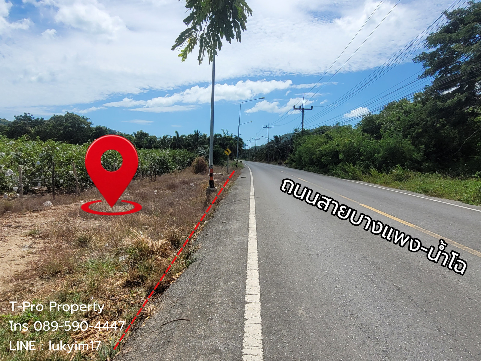 ที่ดินเปล่า หน้ากว้างสวยคิดถนนบางแพง-น้ำโฉ 48 เมตร ต.ท้องเนียน อ.ขนอม จ.นครศรีฯ – รูปที่ 3