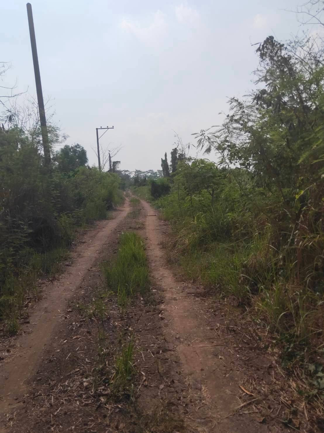 Land for sale in Nong Chok, area 2 rai 0 ngan 01 sq m., near Pracha Samran Police Station. – รูปที่ 2