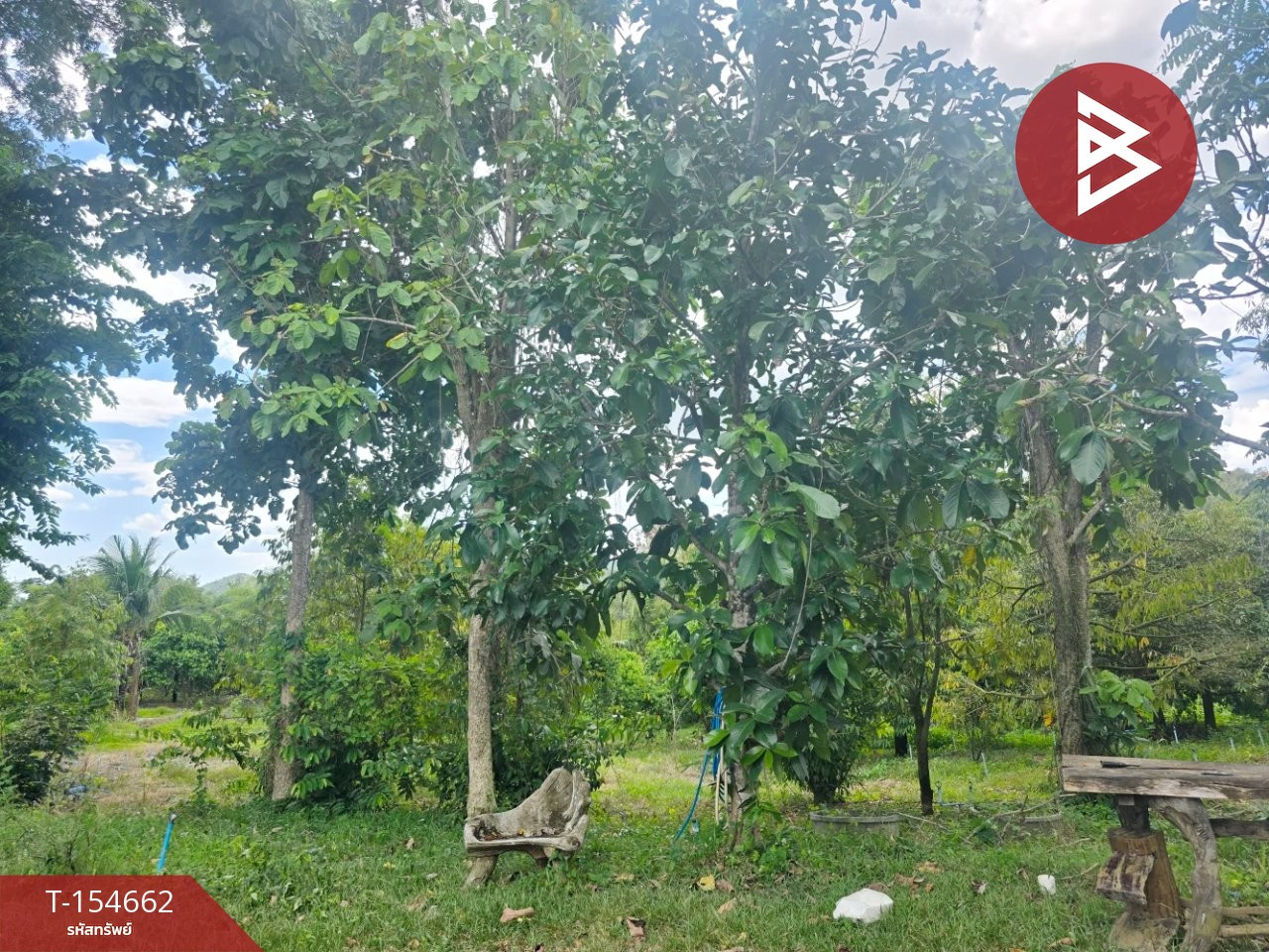 Land for sale with garden, area 6 rai 3 ngan 2 sq m, Nong Ya Plong, Phetchaburi. Land for sale with garden, area 6 rai 3 ngan 2 sq m, Nong Ya Plong, Phetchaburi.