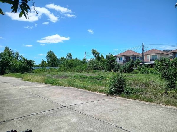 Land for sale 171.6 square wah near Sirichai Village (Wang Saraphi) and Robinson Kanchanaburi.