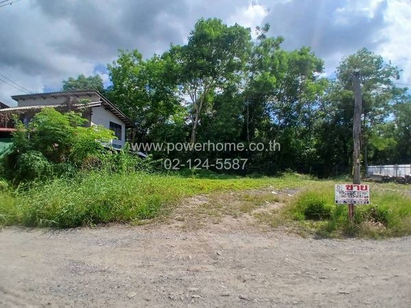 ที่ดินเปล่าถมแล้ว คลองสาม คลองหลวง ทำเลดี ใกล้ตลาดทรัพย์พะยอม
