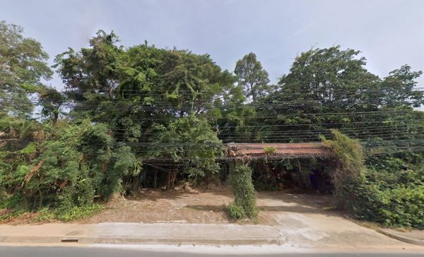 Land for sale, starting at 110 sq m, next to Thaweerat Phakdi Road, near Bang Pho Beach, Surat Thani Province.