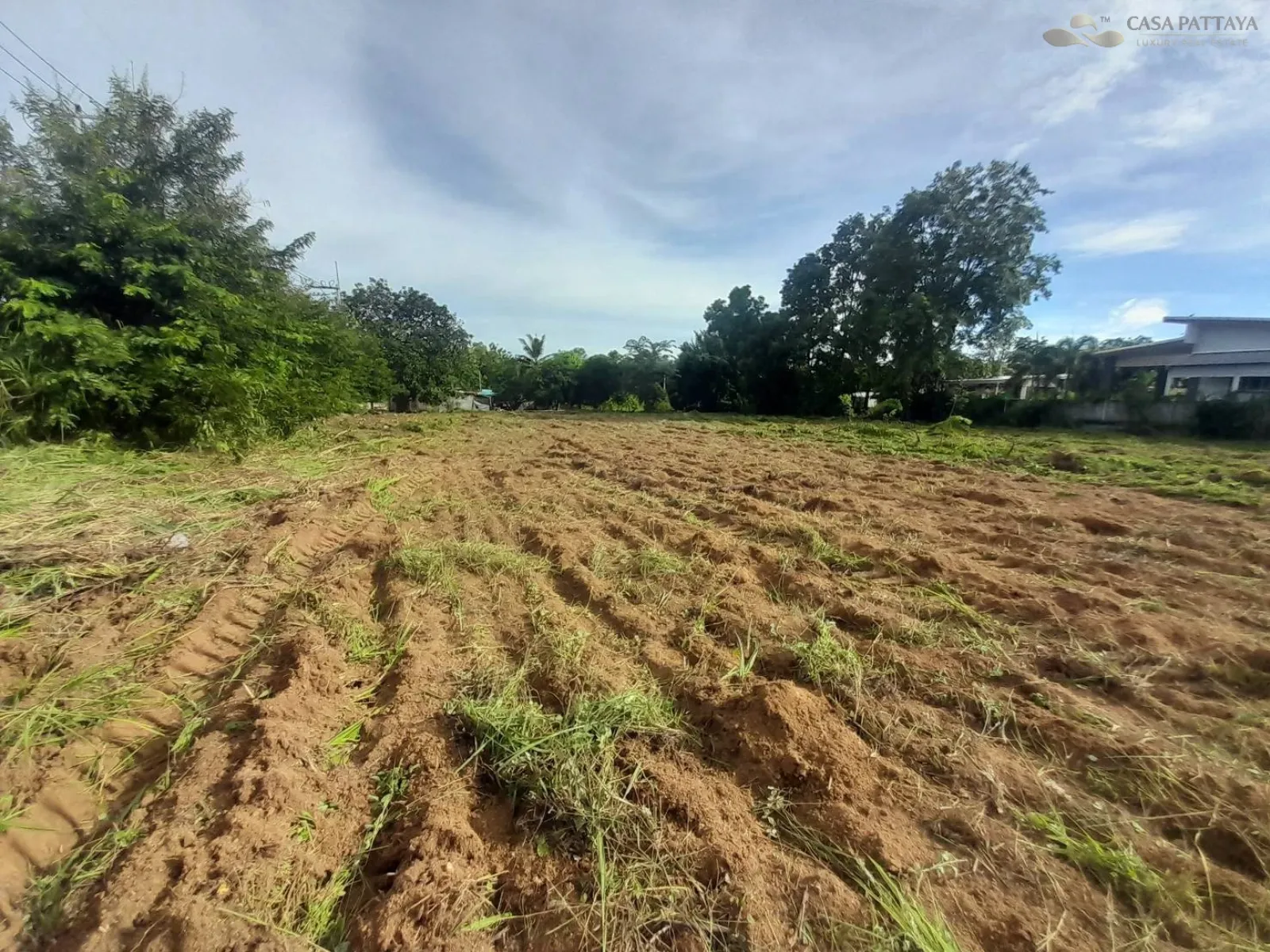 Prime Land for Sale (1 - 3 Rai) Near Takhian Tia Municipal Stadium Prime Land for Sale (1 - 3 Rai) Near Takhian Tia Municipal Stadium