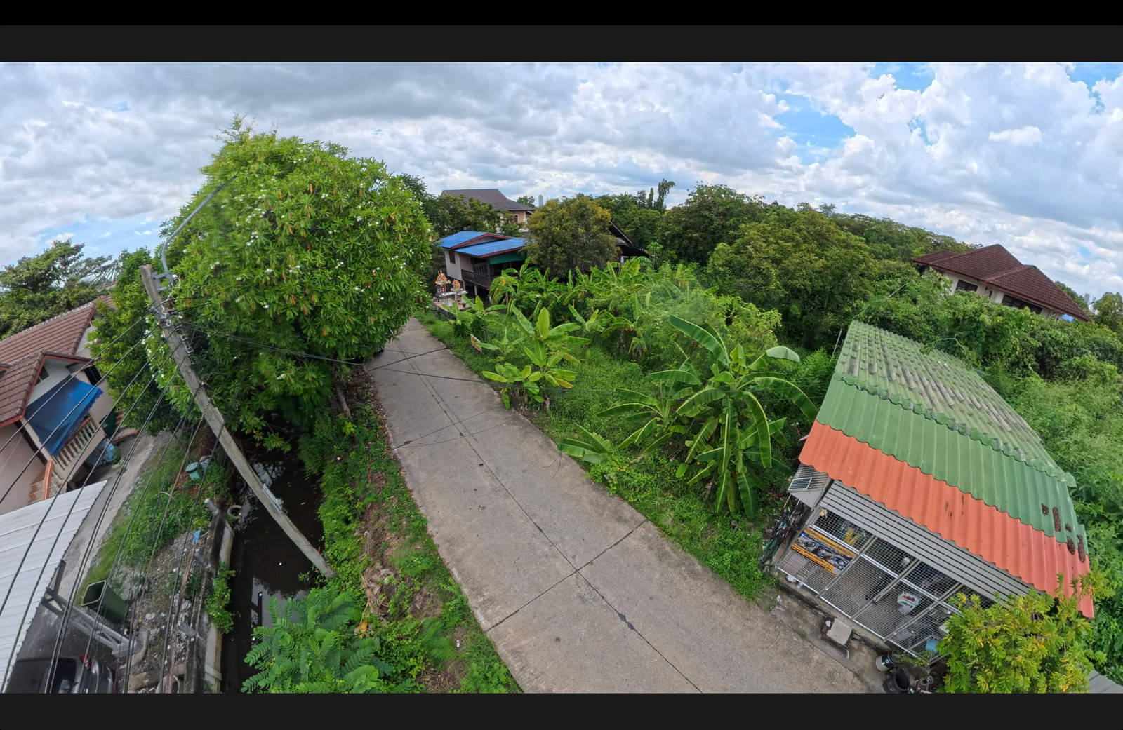 ขายด่วน ที่ดินคุ้งบางกระเจ้า 100 ตร.ว. ราคาดีที่สุดในโซน มีร่องสวนธรรมชาติ การันตีน้ำไม่ท่วม ใกล้สะพานภูมิพล โทร 093-359-6099 – รูปที่ 3
