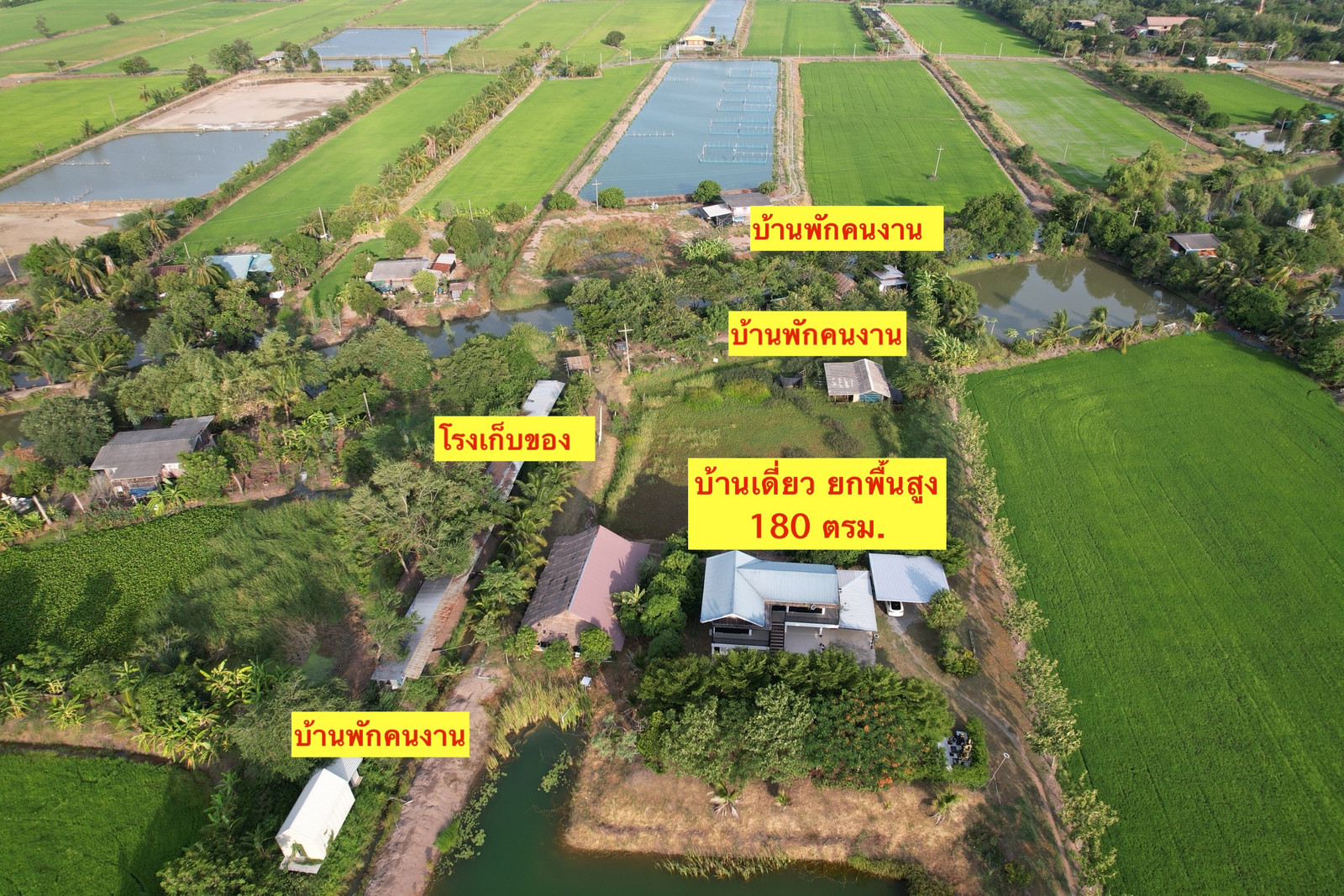 ขายที่ดิน 45 ไร่ บางเลน นครปฐม ติดถนนใหญ่ พร้อมบ้านและสวนมะพร้าว สร้างรายได้ต่อเนื่อง – รูปที่ 3