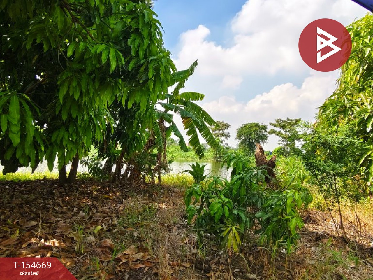 Land for sale, area 6 rai 2 ngan 20 sq m, Baphli, Samut Prakan. – รูปที่ 3