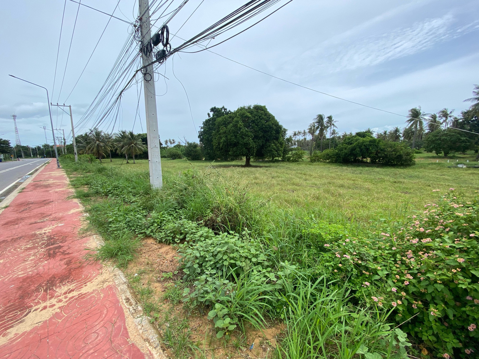 🔥 The  is selling it himself! 3 rai of land in Pak Nam Pran, close to the sea only 1 km.