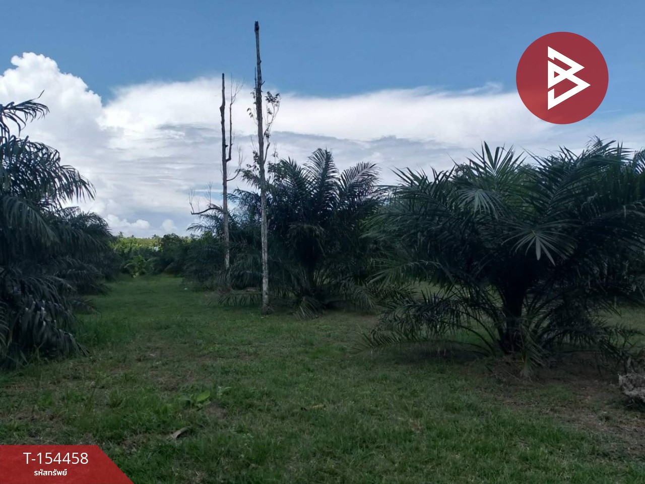 ขายที่ดิน เนื้อที่ 1 ไร่ 2 งาน 98 ตร.วา ตะกั่วทุ่ง พังงา – รูปที่ 3