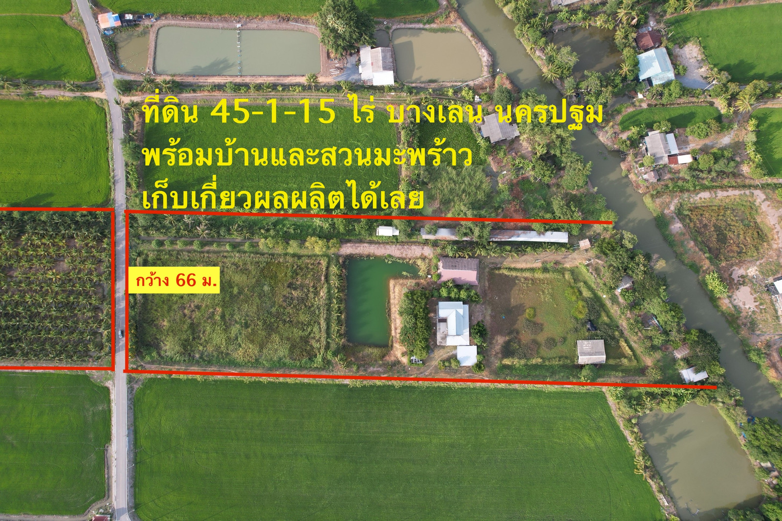 Land for sale, 45 rai, Bang Len, Nakhon Pathom, next to the main road, with house and coconut plantation. Create continuous income