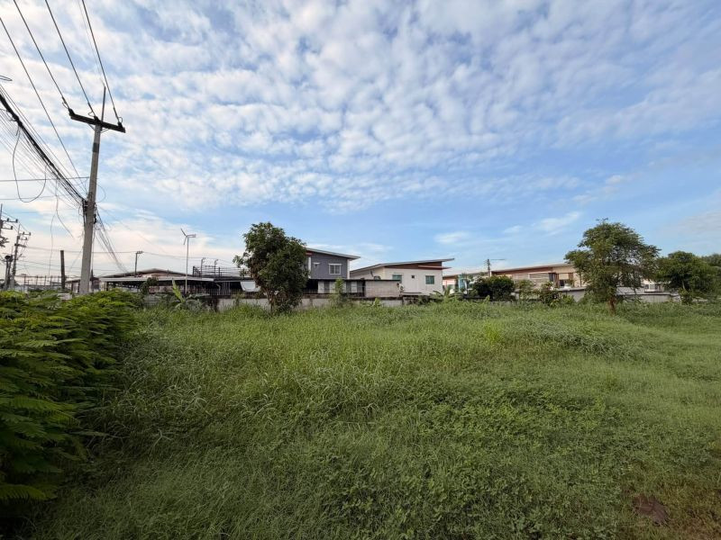 ขายที่ดิน บึง-ศรีราชา 2 ไร่ 30 ตร.ว. ตรงข้ามวัดบึง หน้ากว้าง ข้างติดห้วย – รูปที่ 3