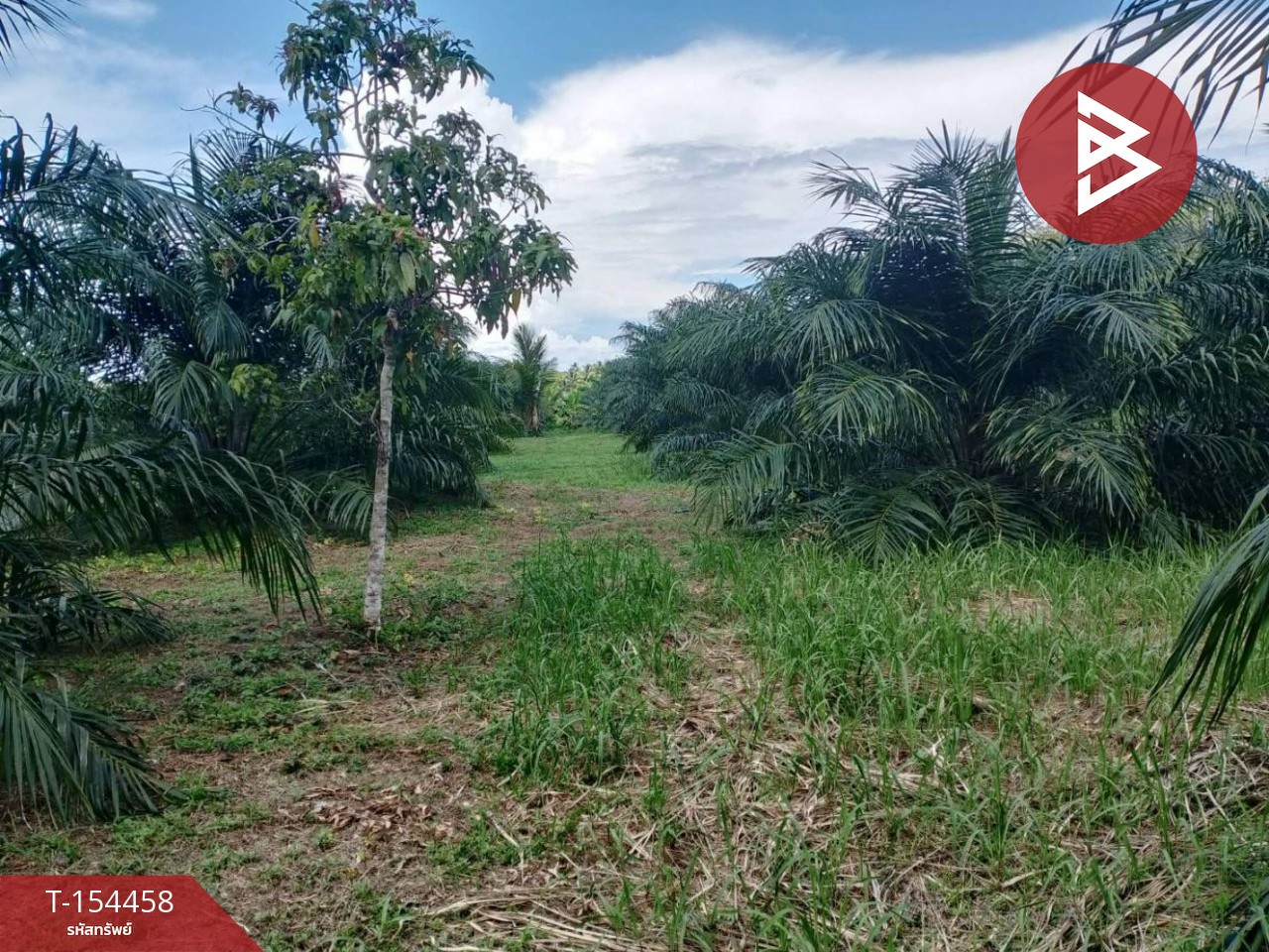 ขายที่ดิน เนื้อที่ 1 ไร่ 2 งาน 98 ตร.วา ตะกั่วทุ่ง พังงา – รูปที่ 2
