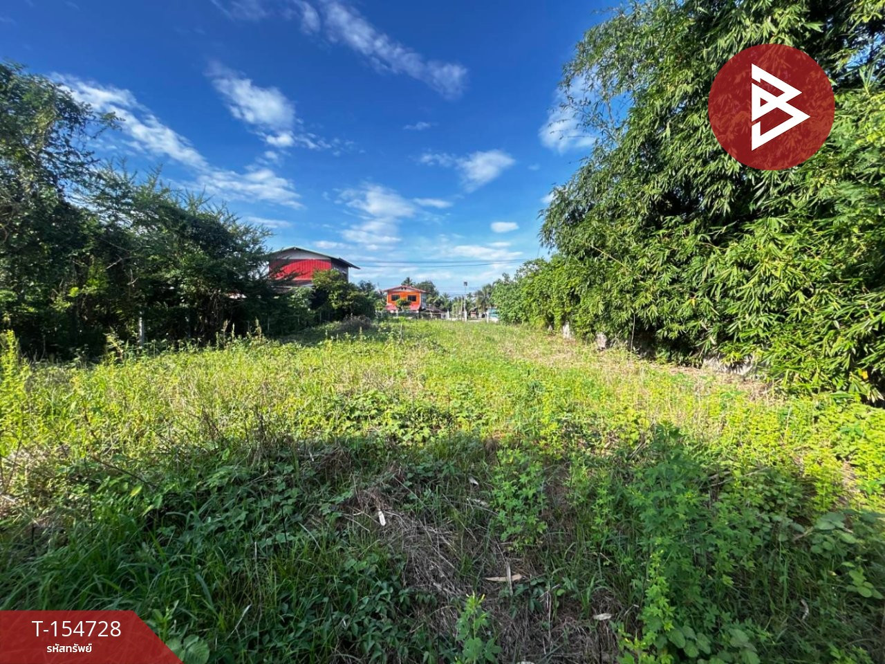 Land for sale, area 2 ngan 14 sq m, Nong Phai, Phetchabun. – รูปที่ 3