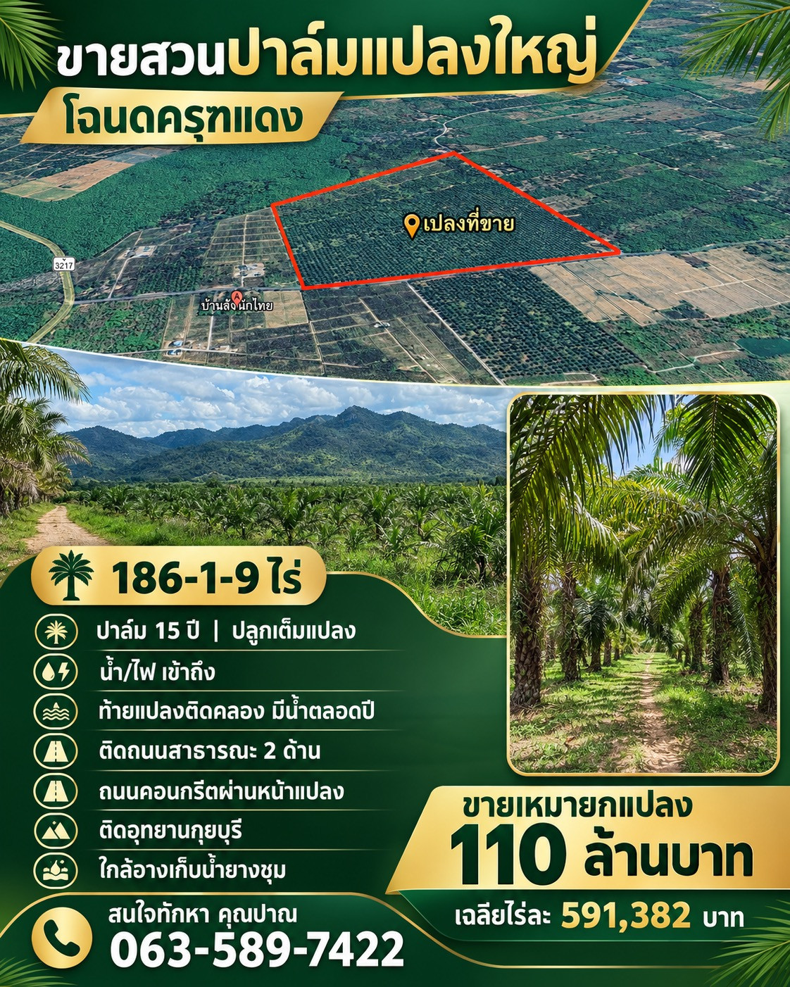 Large plot of palm plantation for sale, mountain view, red mango title deed, area 186-1-9 rai, Hat Kham Subdistrict, Kui Buri District, Prachuap Khiri Khan Province.