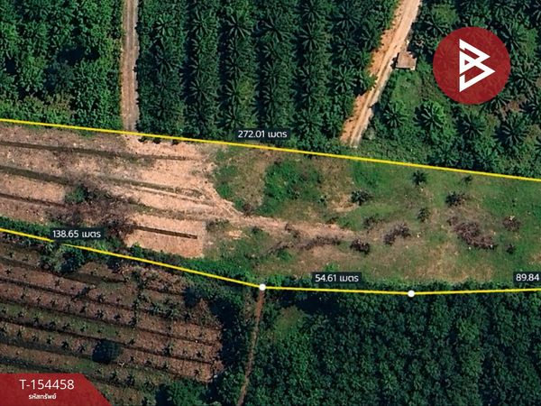 Land for sale, area 1 rai 2 ngan 98 sq m, Takua Thung, Phang Nga