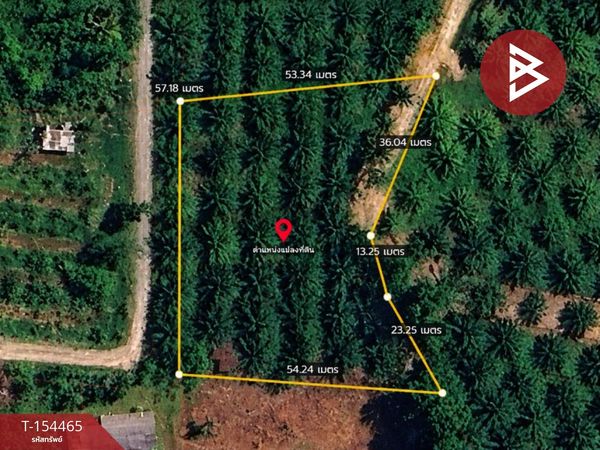 Land for sale, area 7 rai 57 sq m, Takua Thung, Phang Nga