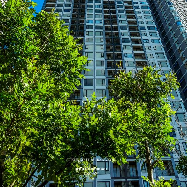 Condo for sale: SKYRISE Avenue Sukhumvit 64, 2 bedrooms, 1 bathroom, 43.6-44.13 sq.m., ready to move in, near BTS Punnawithi, from THB 4.19M