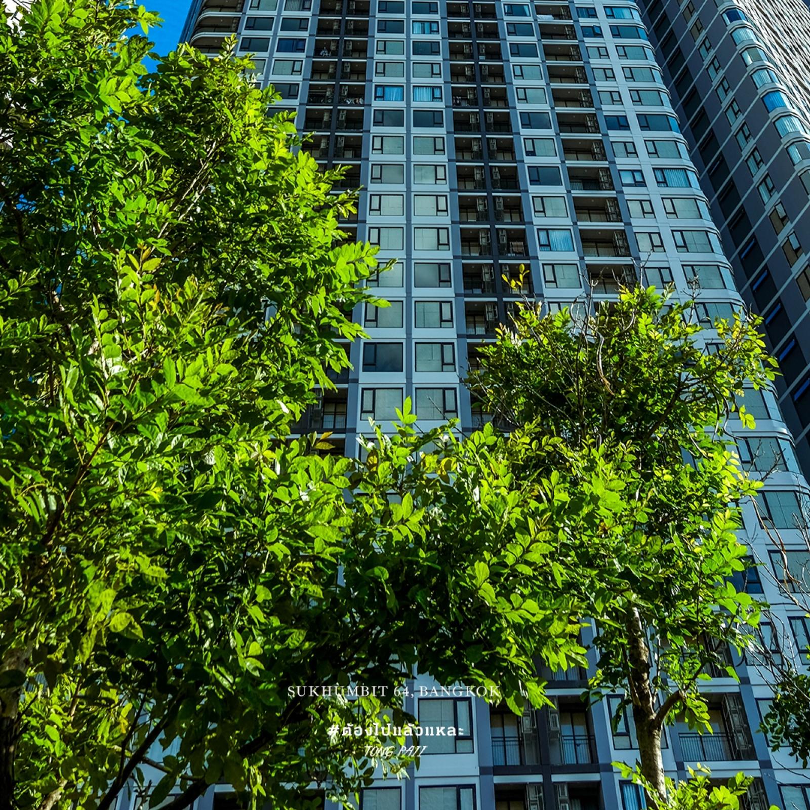 Condo for sale: SKYRISE Avenue Sukhumvit 64, 2 bedrooms, 1 bathroom, 43.6-44.13 sq.m., ready to move in, near BTS Punnawithi, from THB 4.19M