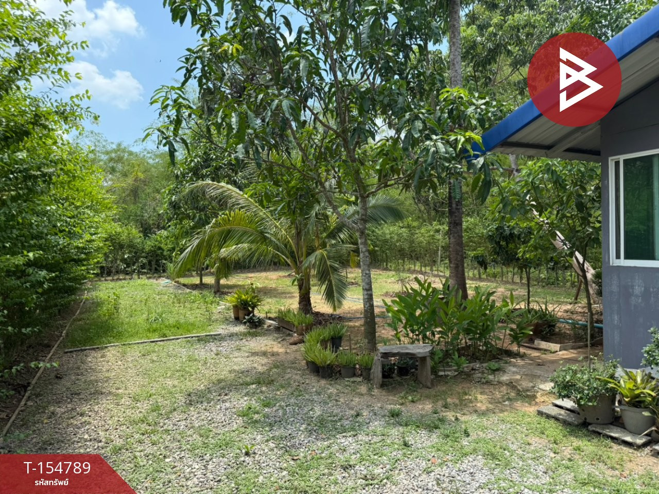 ขายที่ดินพร้อมบ้าน 2 หลัง เนื้อที่ 2 ไร่ ต.เนินหอม จ.ปราจีนบุรี ทำเลเขาใหญ่ – รูปที่ 4