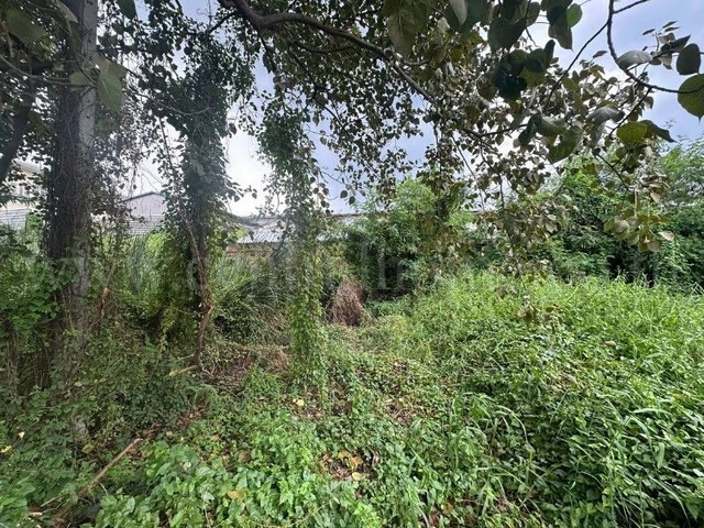 Land in Bang Bua Thong, near Bang Phlu intersection, Nonthaburi, 59.2 square wah, cheap price. – รูปที่ 2