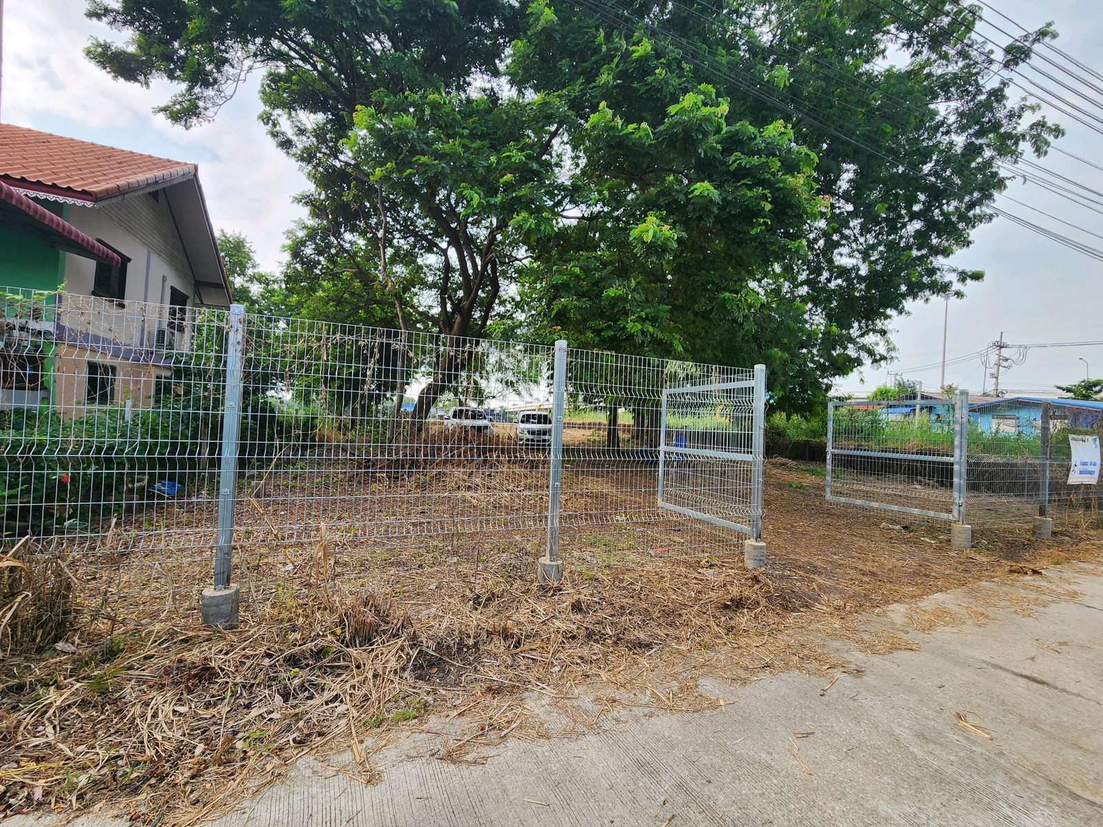 🌿✨ Beautiful plot of land along the Chao Phraya River. Pathum Thani-Bang Pahan, size 432 square meters, alley only 50 meters. The front of the plot next to the river is 45 meters long, with a view of the bridge and water curve, very beautiful, suitable fo – รูปที่ 4