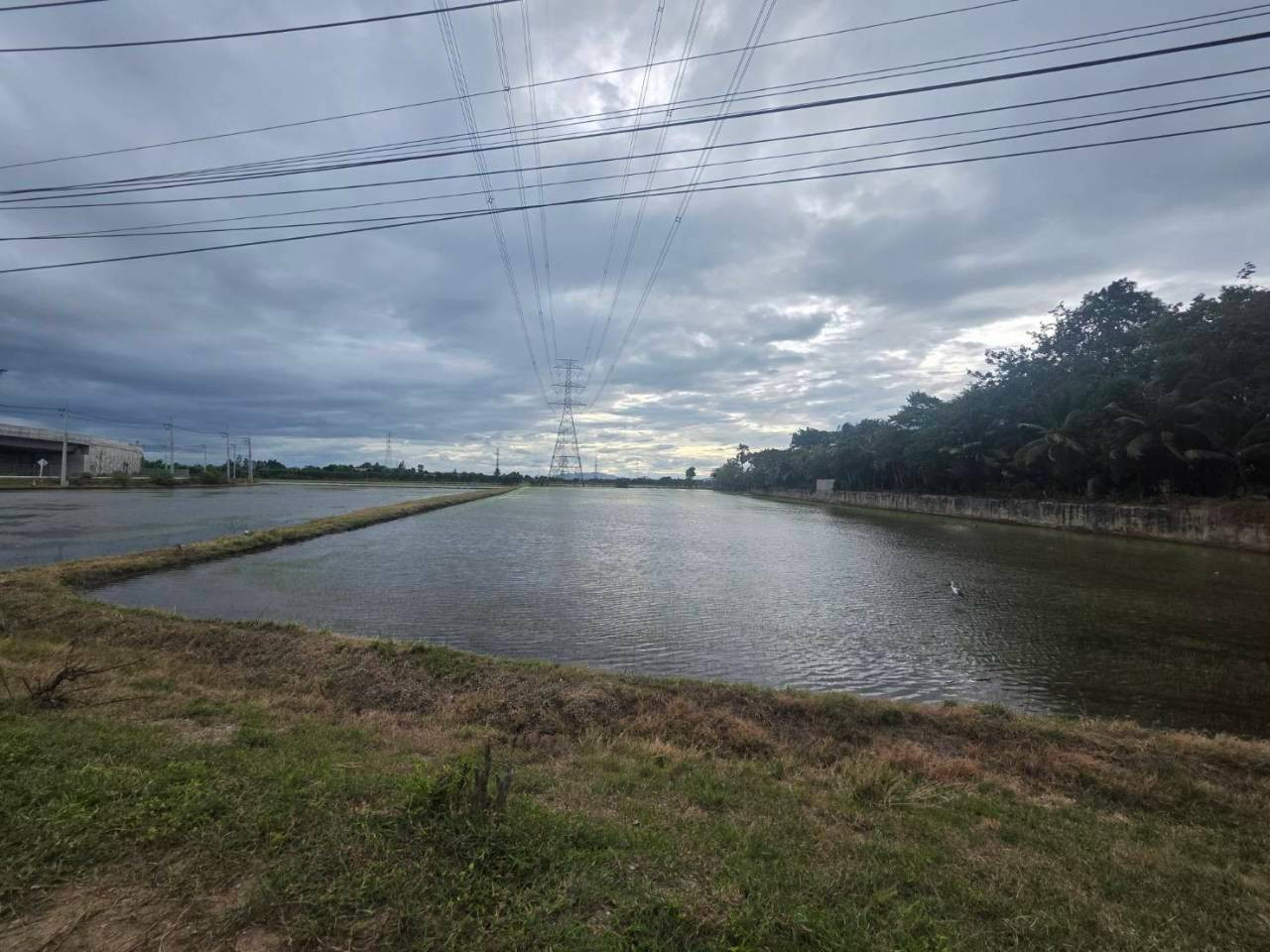 Land for sale next to the entrance and exit of the M81 motorway, Dan Tha Muang, 37 rai 3 ngan, next to the road 500 meters. – รูปที่ 4
