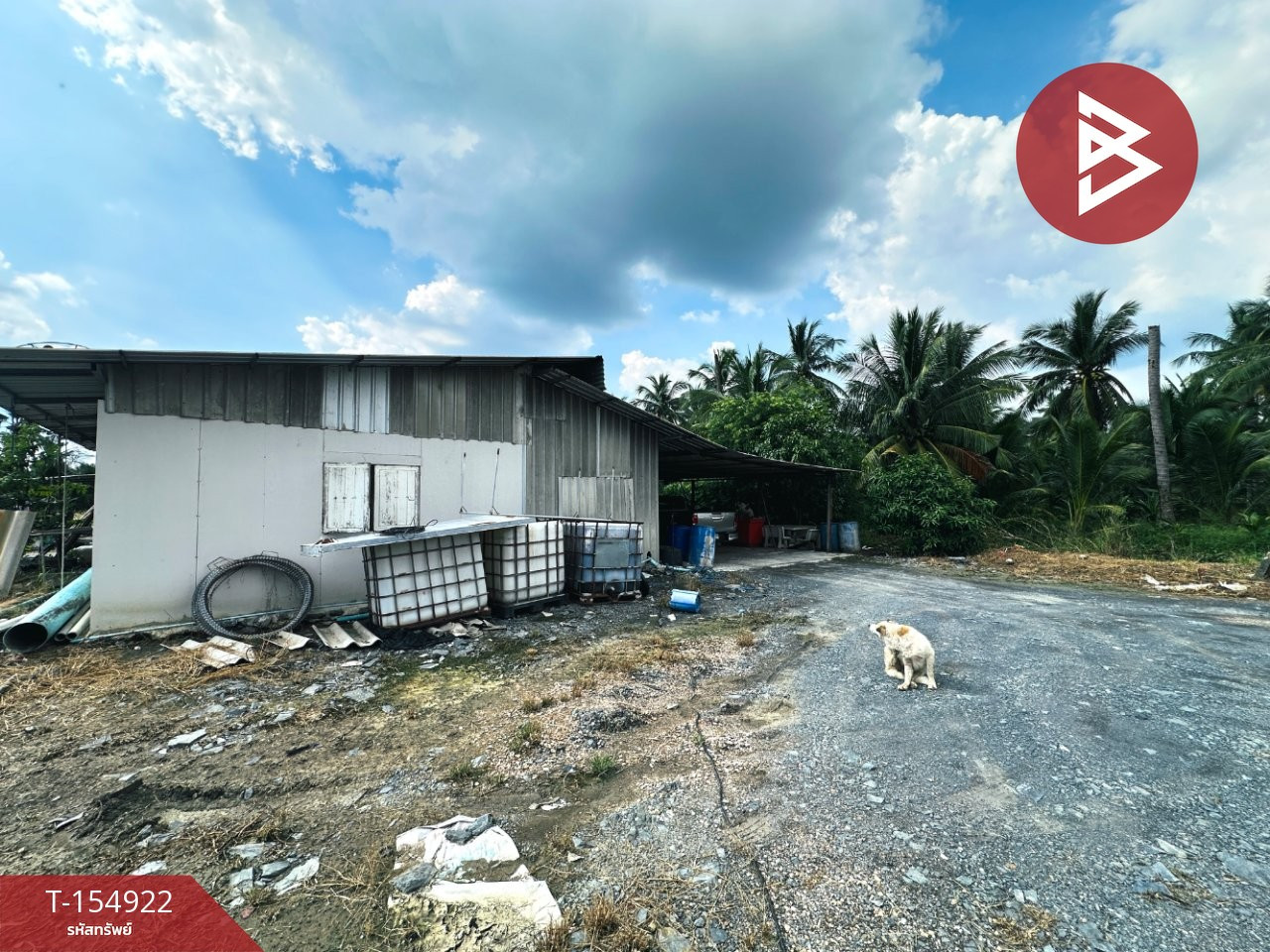 ขายที่ดิน เนื้อที่ 26 ไร่ 90 ตร.วา บ้านแพ้ว สมุทรสาคร – รูปที่ 4