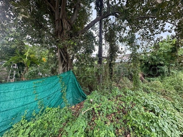 Land in Bang Bua Thong, near Bang Phlu intersection, Nonthaburi, 59.2 square wah, cheap price. – รูปที่ 4