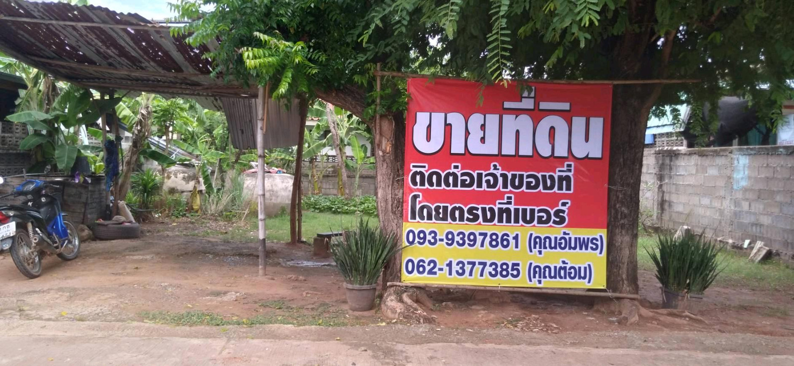 🏡 Land for sale 52 square wah — Khok Sung, Nakhon Ratchasima | 💰 Selling for only 500,000 baht – รูปที่ 2
